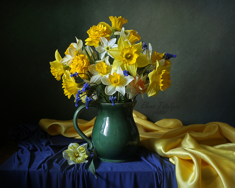 нарциссы цветы, Елена Татульян