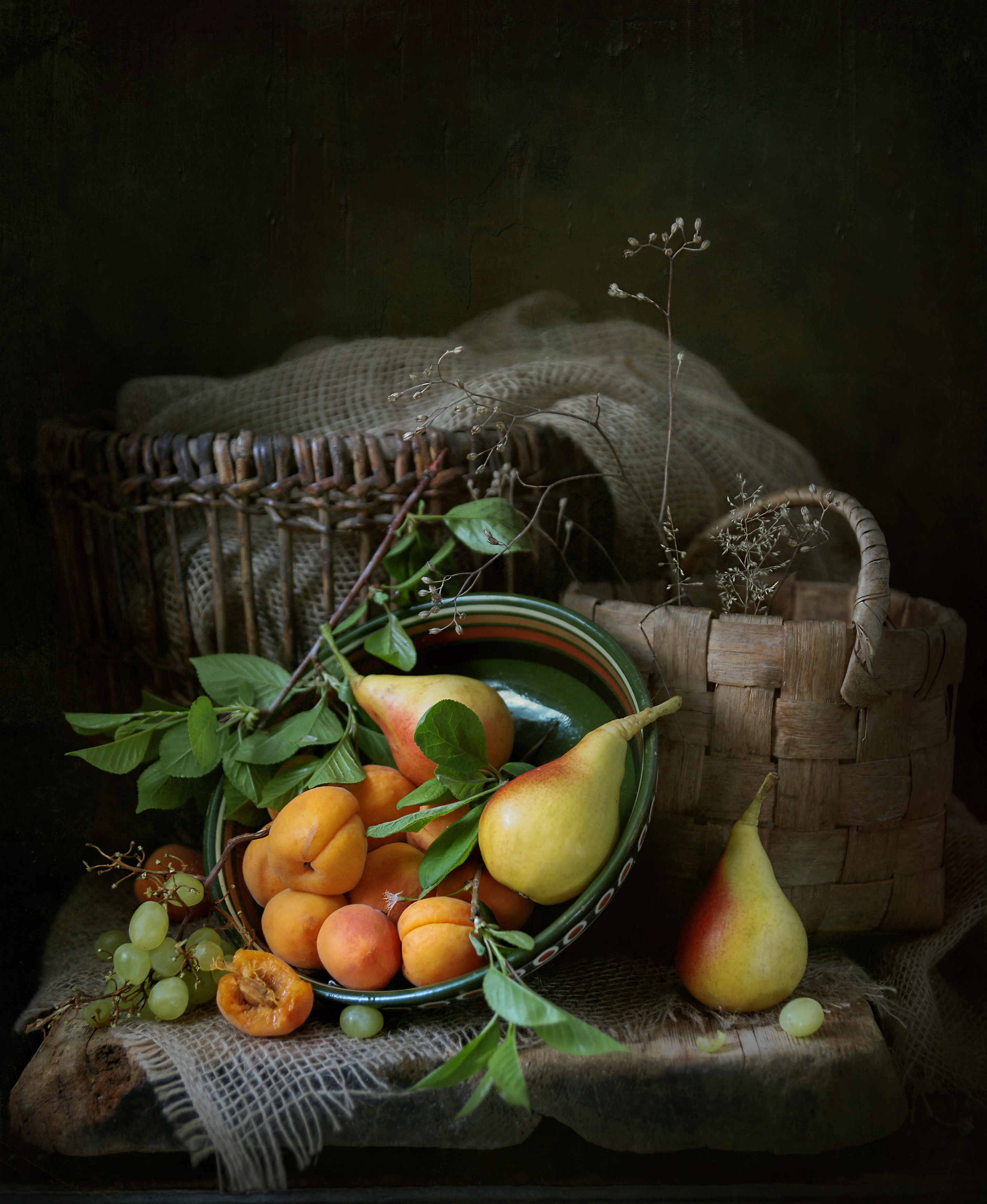 , Сушкевич Светлана