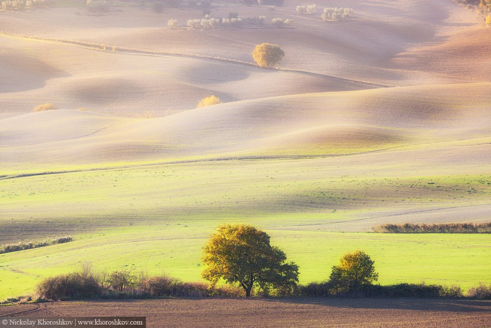 Italy, Tuscany, Италия, Тоскана, Николай Хорошков