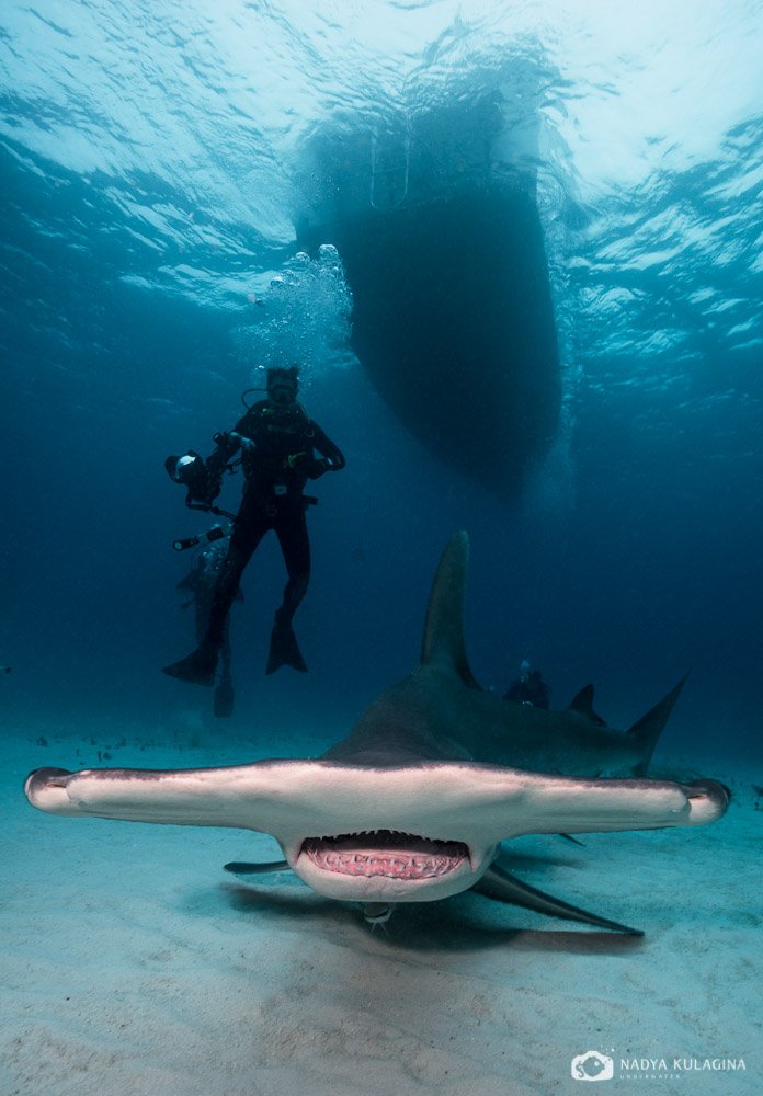 подводное фото,, Nadya Kulagina
