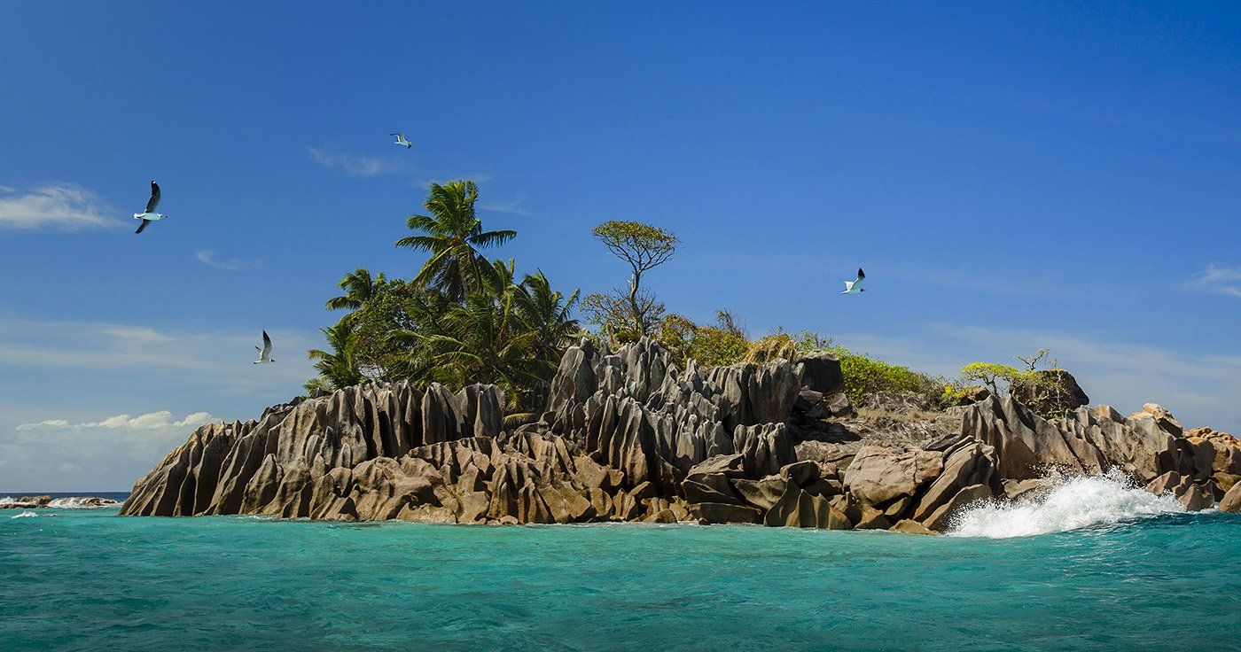 остров , сейшелы, синева, скалы, чайки, море, экзотика , Марина Мудрова