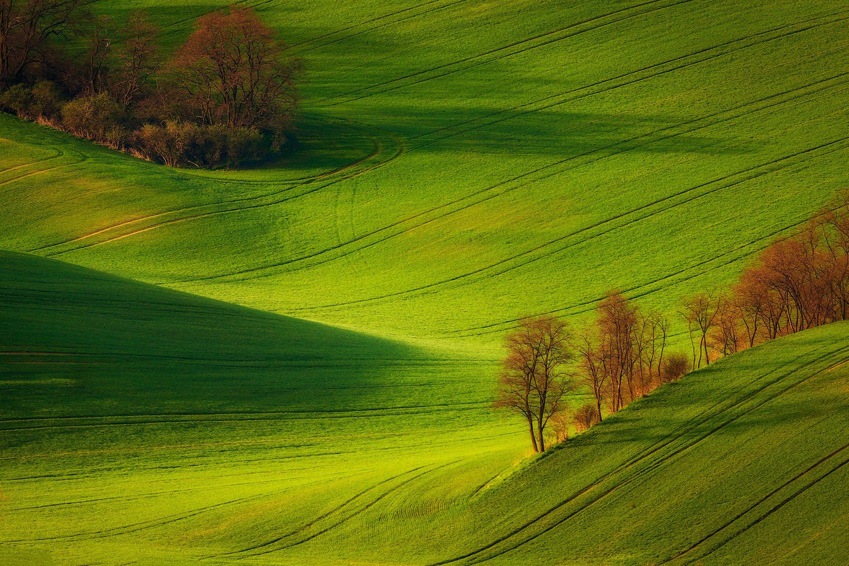 Moravia, Pawel Uchorczak