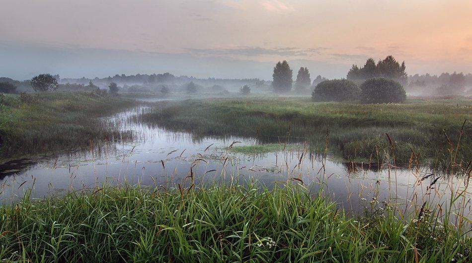 пейзаж, рассвет, лето, река, Нижегородская область, Керженец, туман, Александр Бархатов