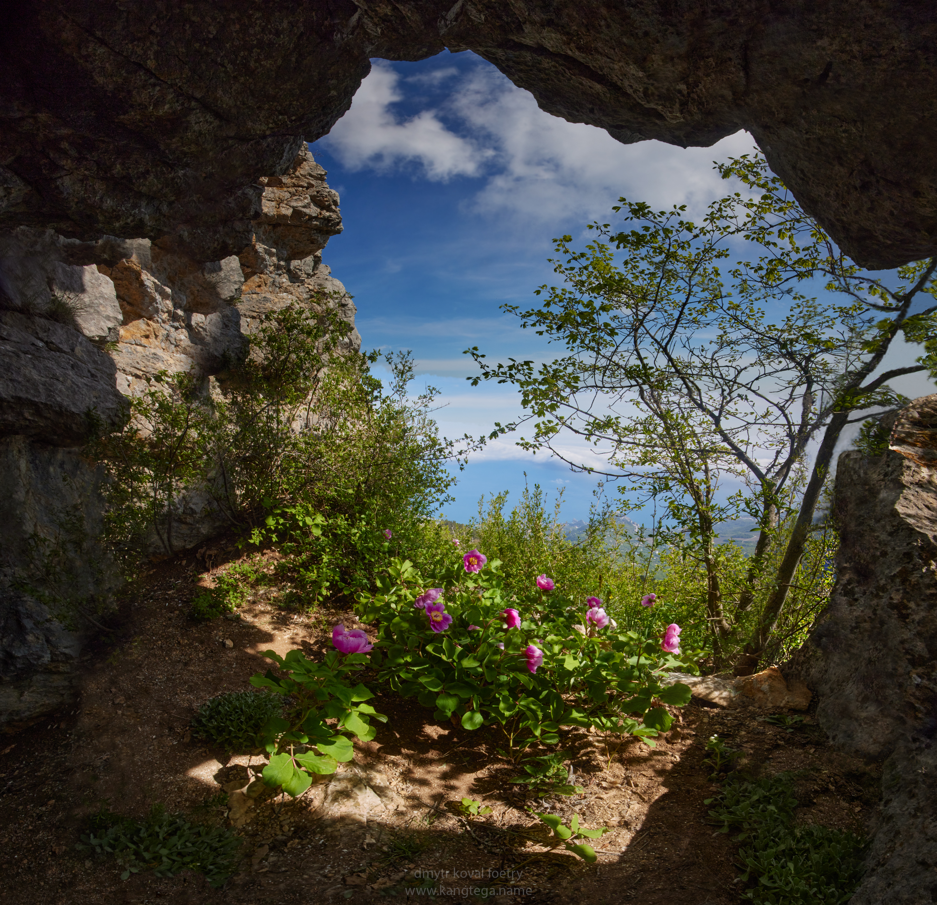 пейзажемагьё, пейзаж-как-виденье, Коваль Дмитр