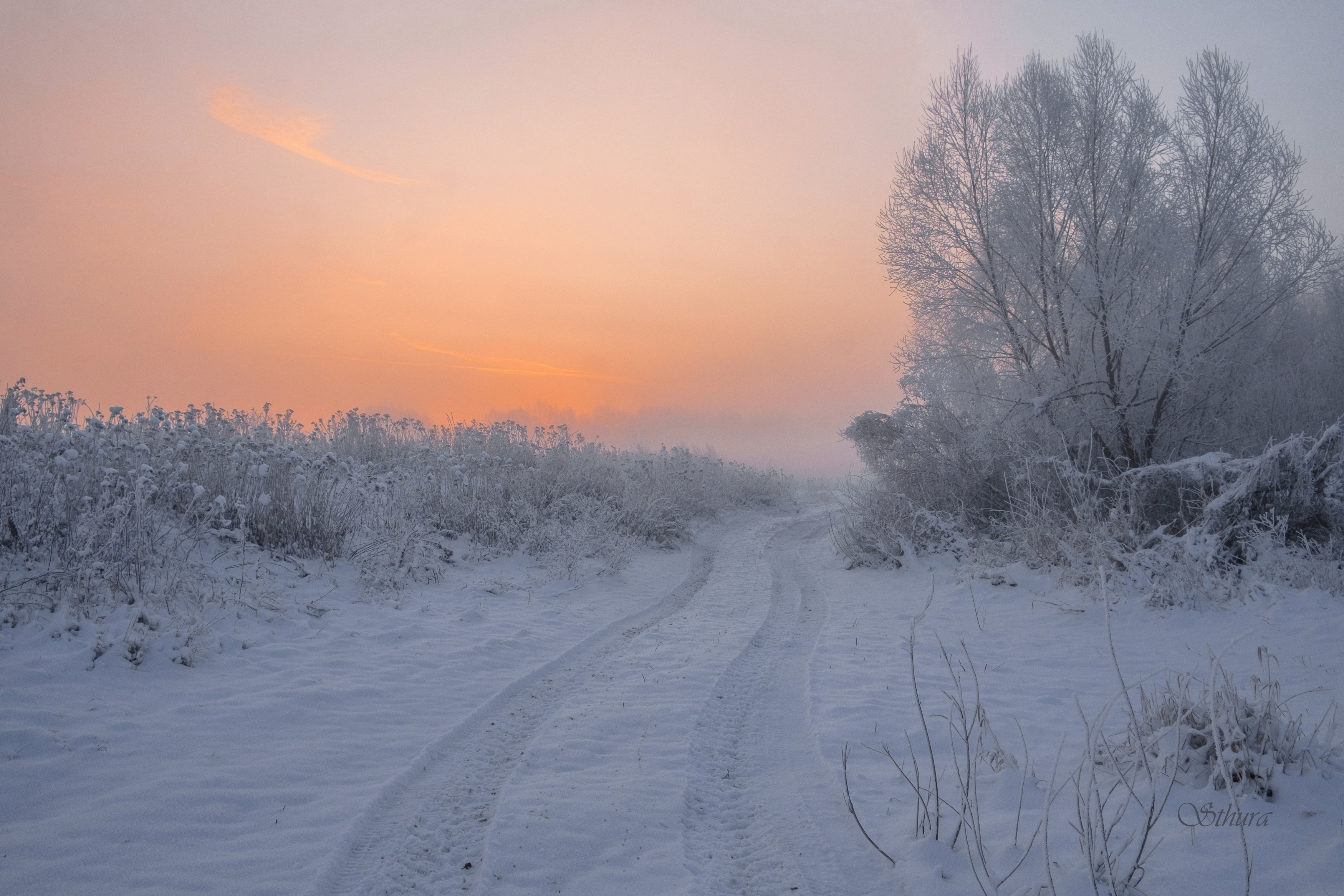 весна рассвет дорога снег природа пейзаж, Александр Строков