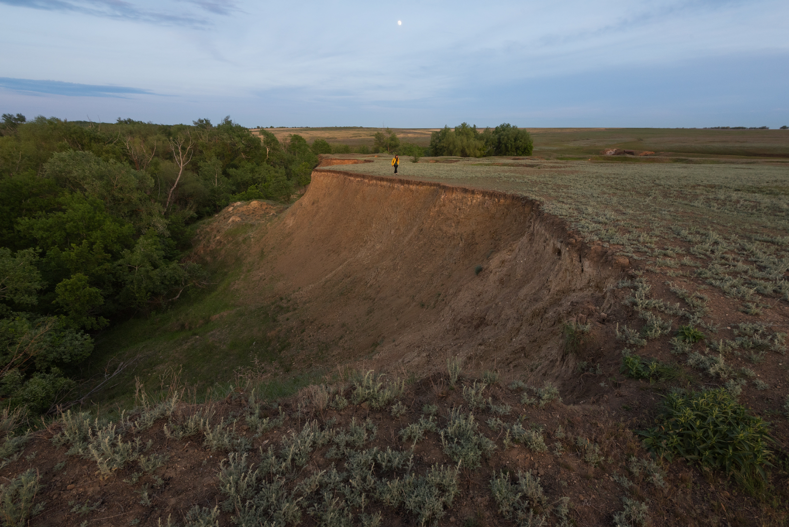 , Алексей Проняхин