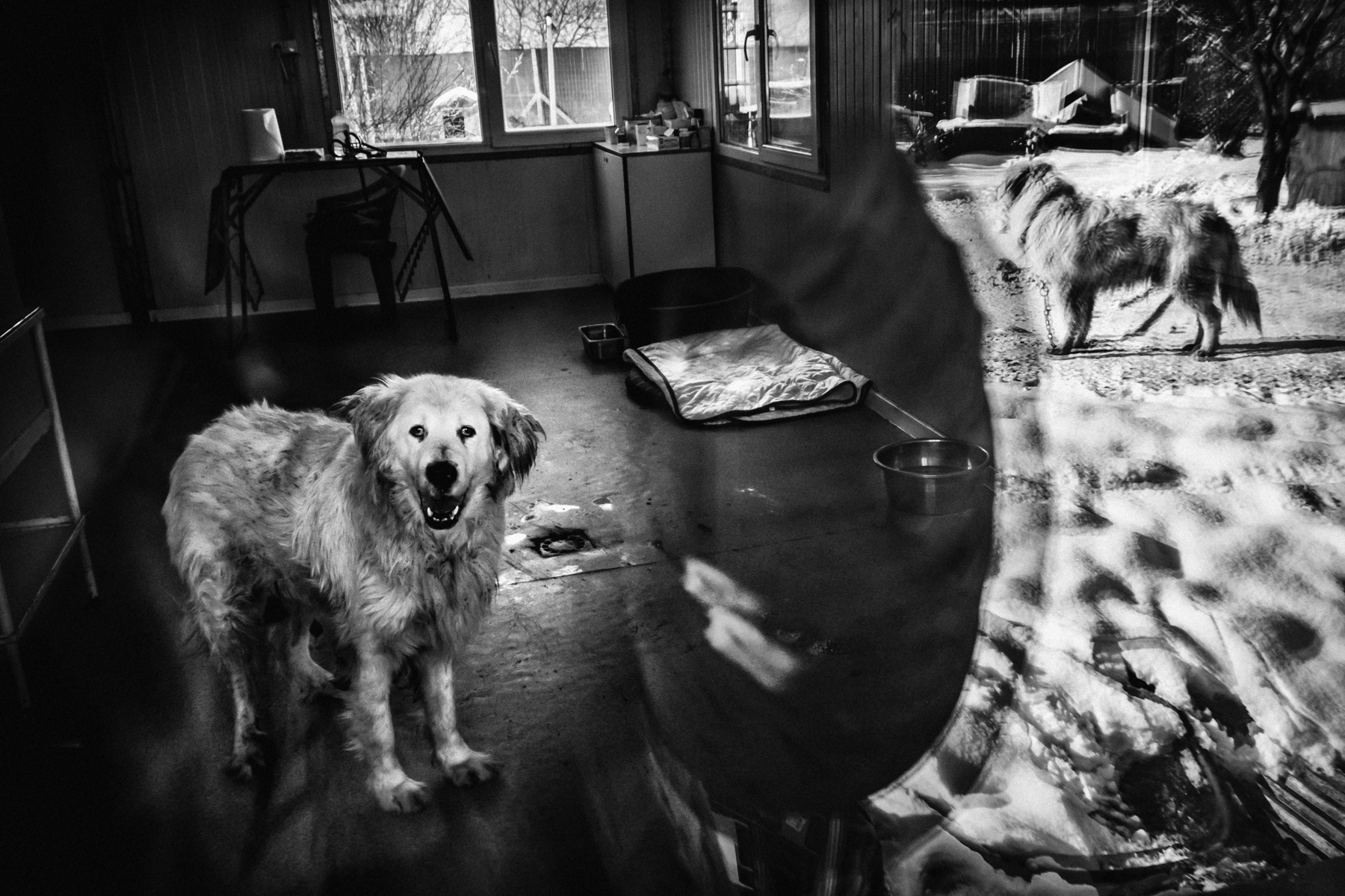 , Denis Buchel (Денис Бучель)