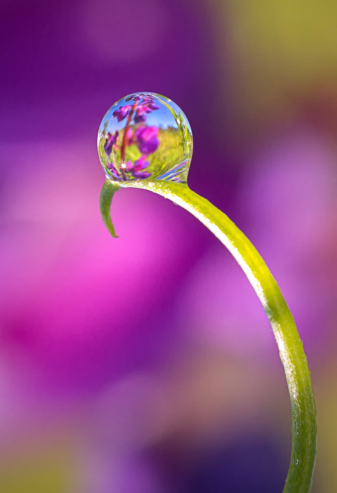 , Andrey Pristyazhnyuk