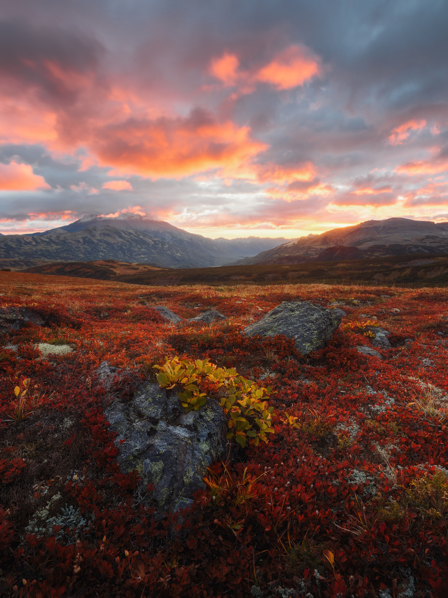 камчатка, осень, Александр Писарев