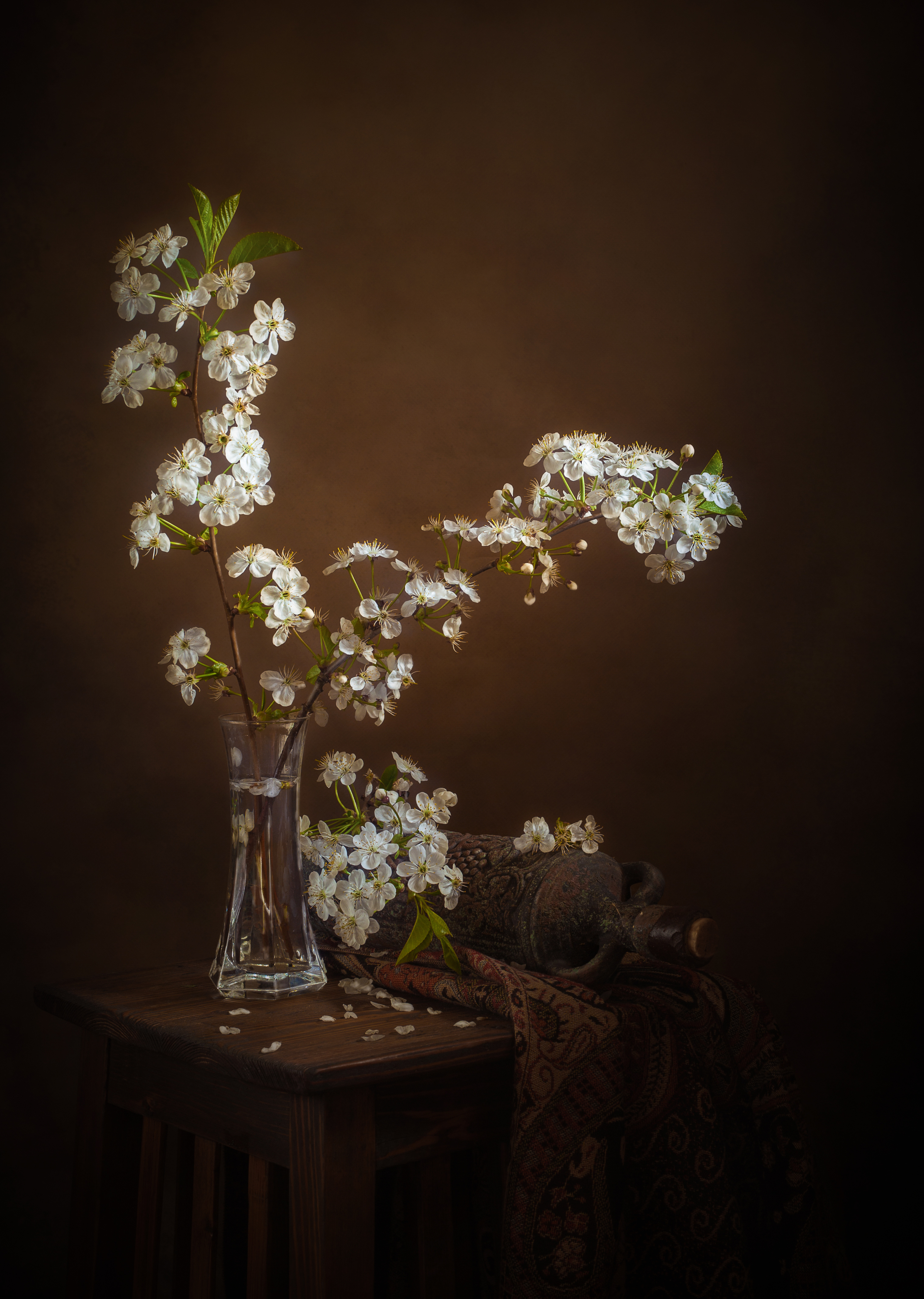 , Хвойнова Елена