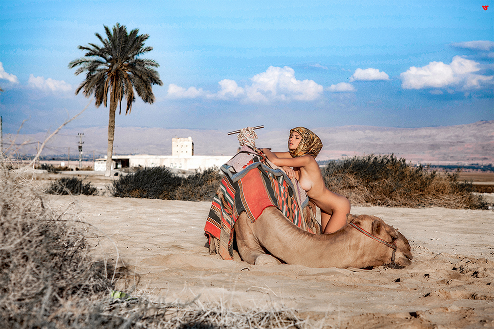 , АЛЕКСАНДР САВИЧЕВ