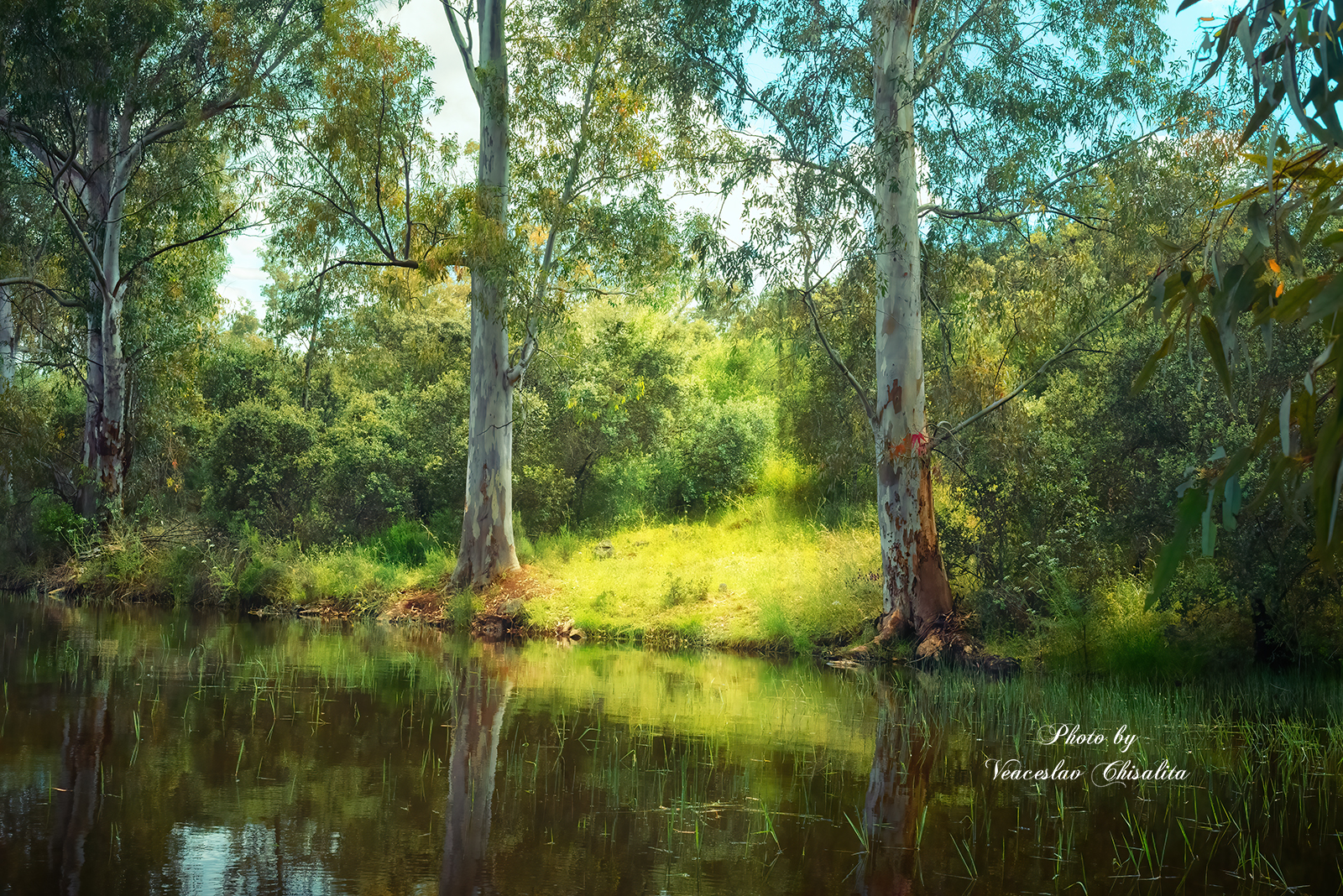 #природа #живописно #поход #пейзаж #тишина #свежийвоздух #диканатура #поток #зелень #вода #природнаямагия #nature #greenescape #hikingadventures #naturevibes #wildwater #earthmood #sereneviews #landscape_lovers #wanderlust #freshair #calmplace, Veaceslav Chisalita