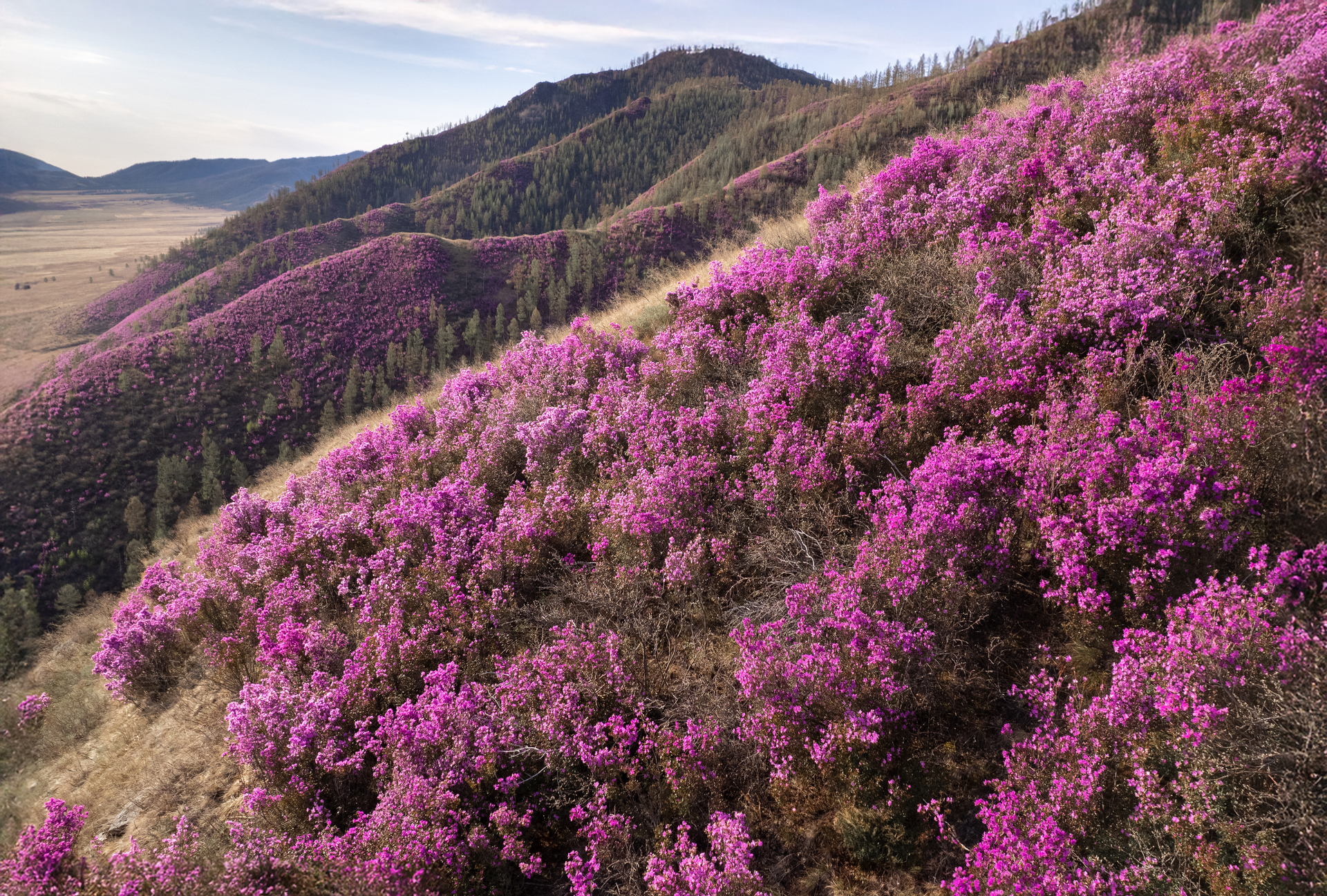 тува, республика тыва,  siberia, тайга, nerozya, russia, tuva, travel, маральник, russia, Нерозя Александр