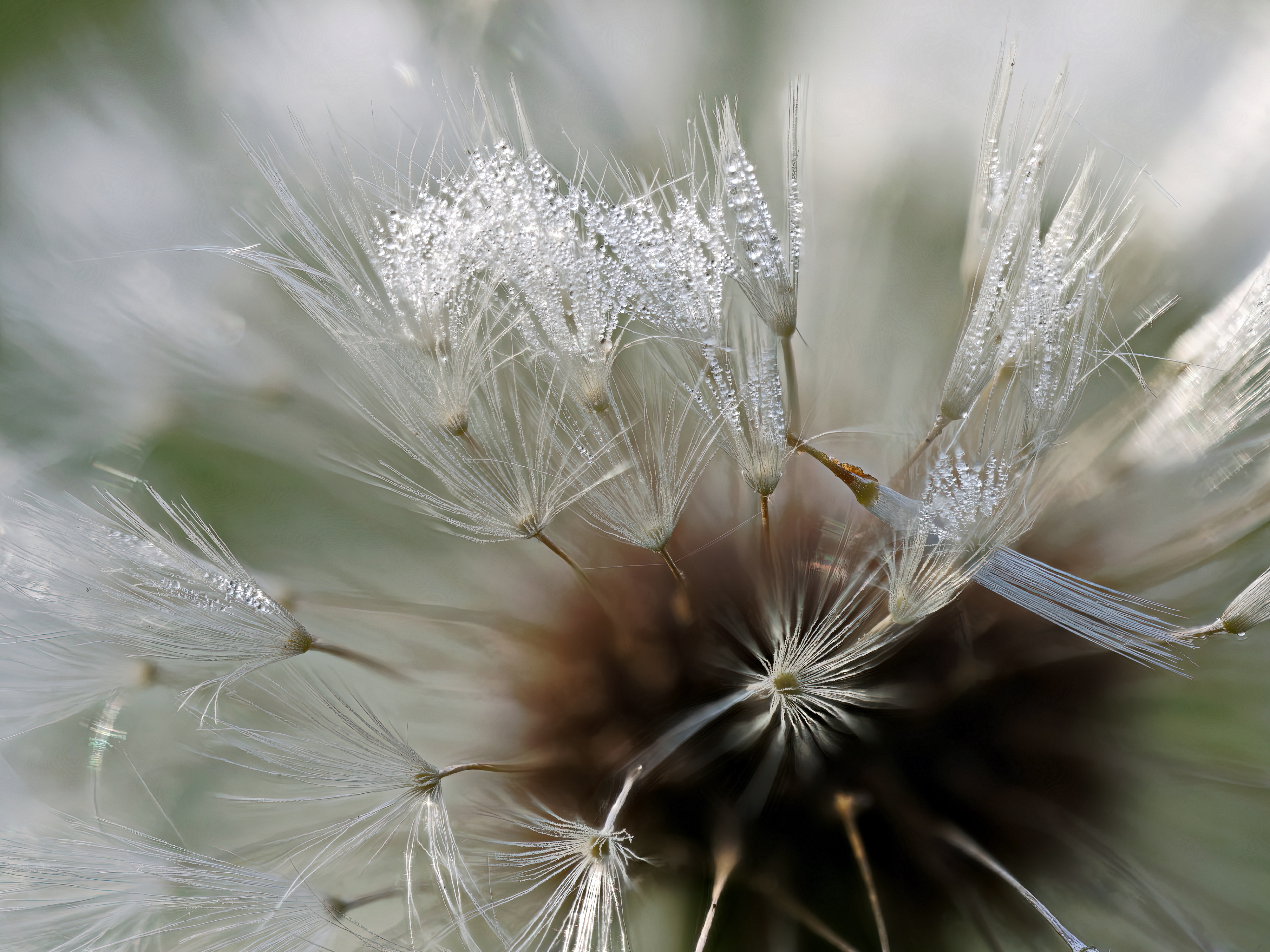 , Кузнецов Дмитрий