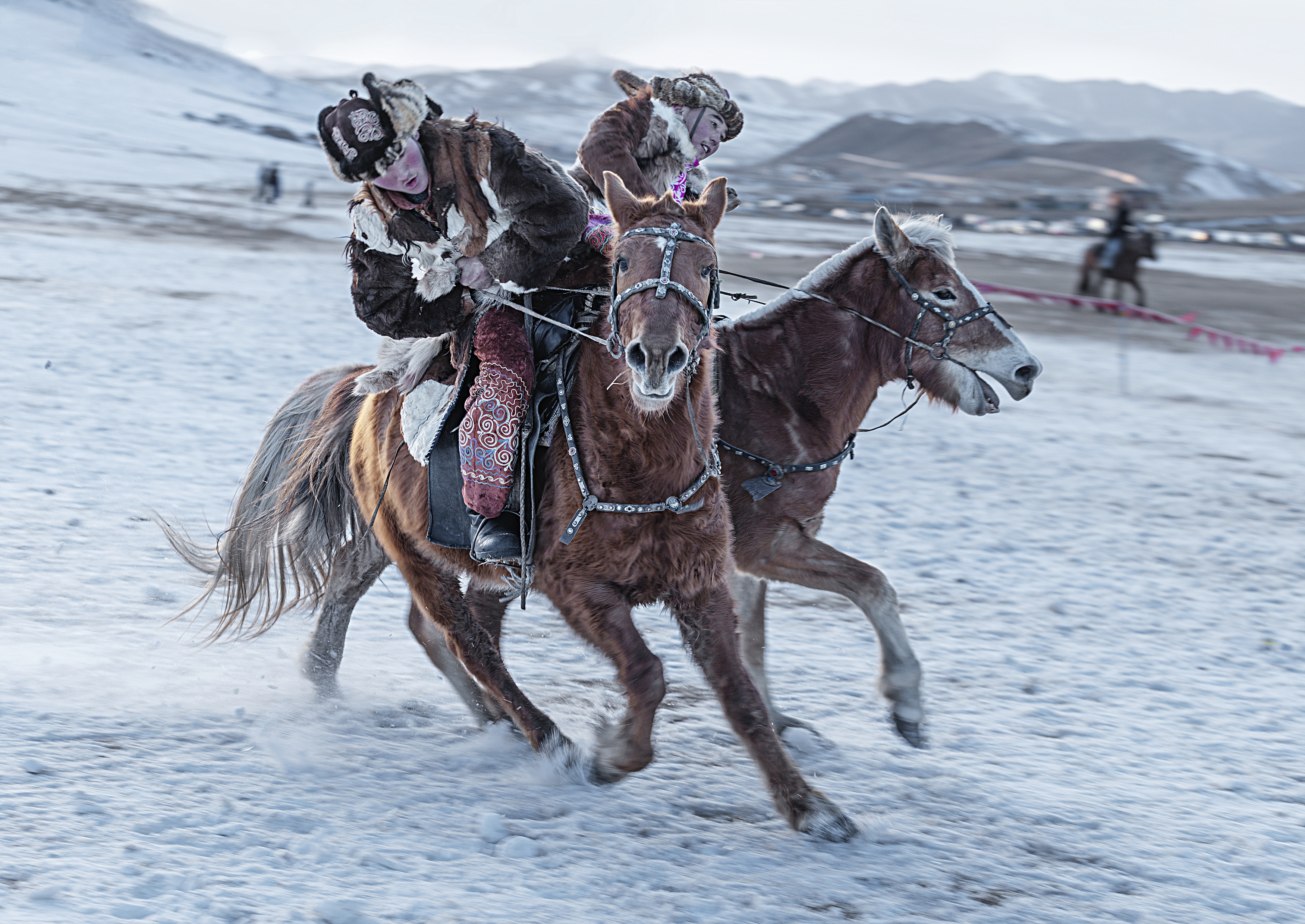 Mongolian eagle hunting festival, ganzorig miimaa