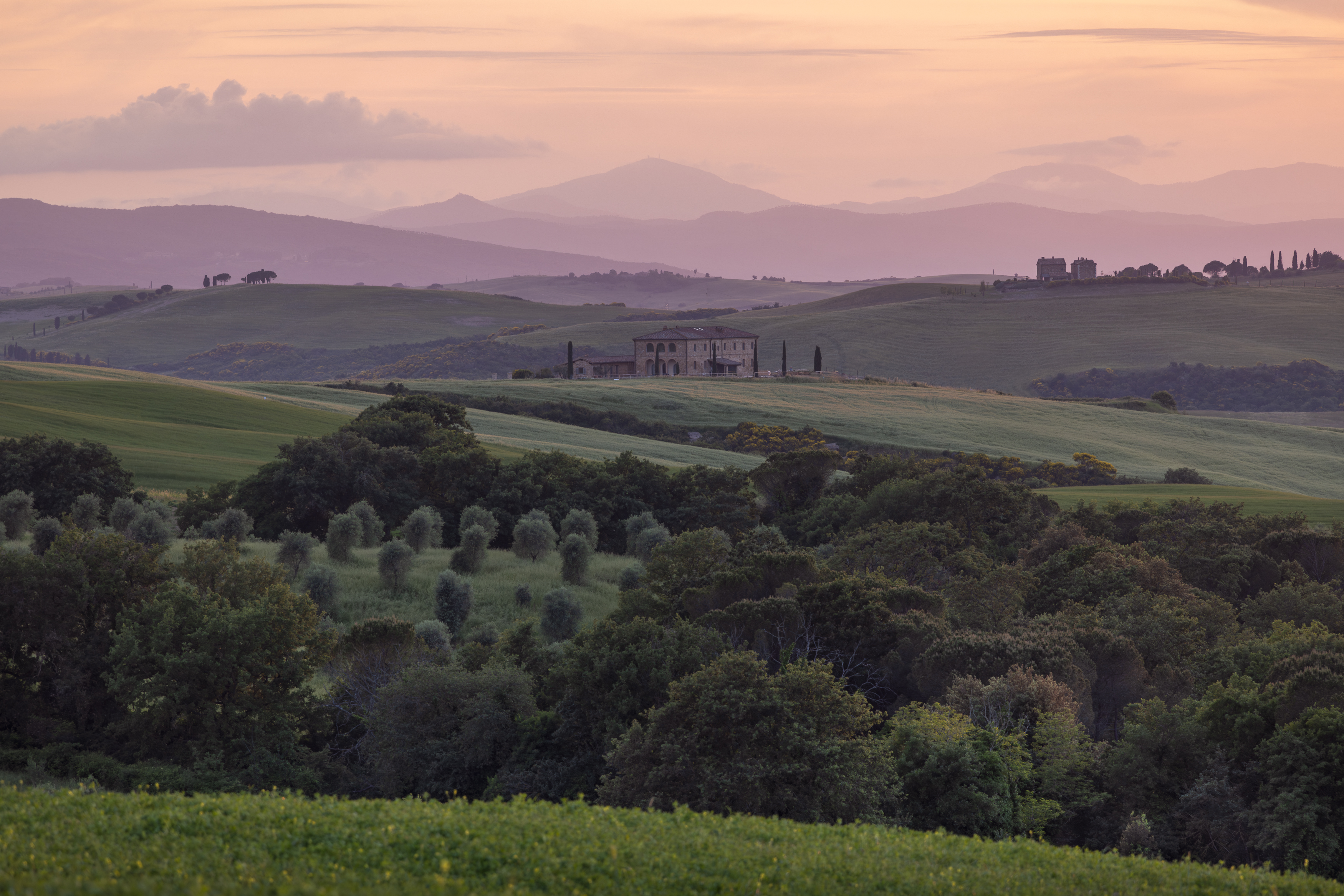 , Алекс Римский