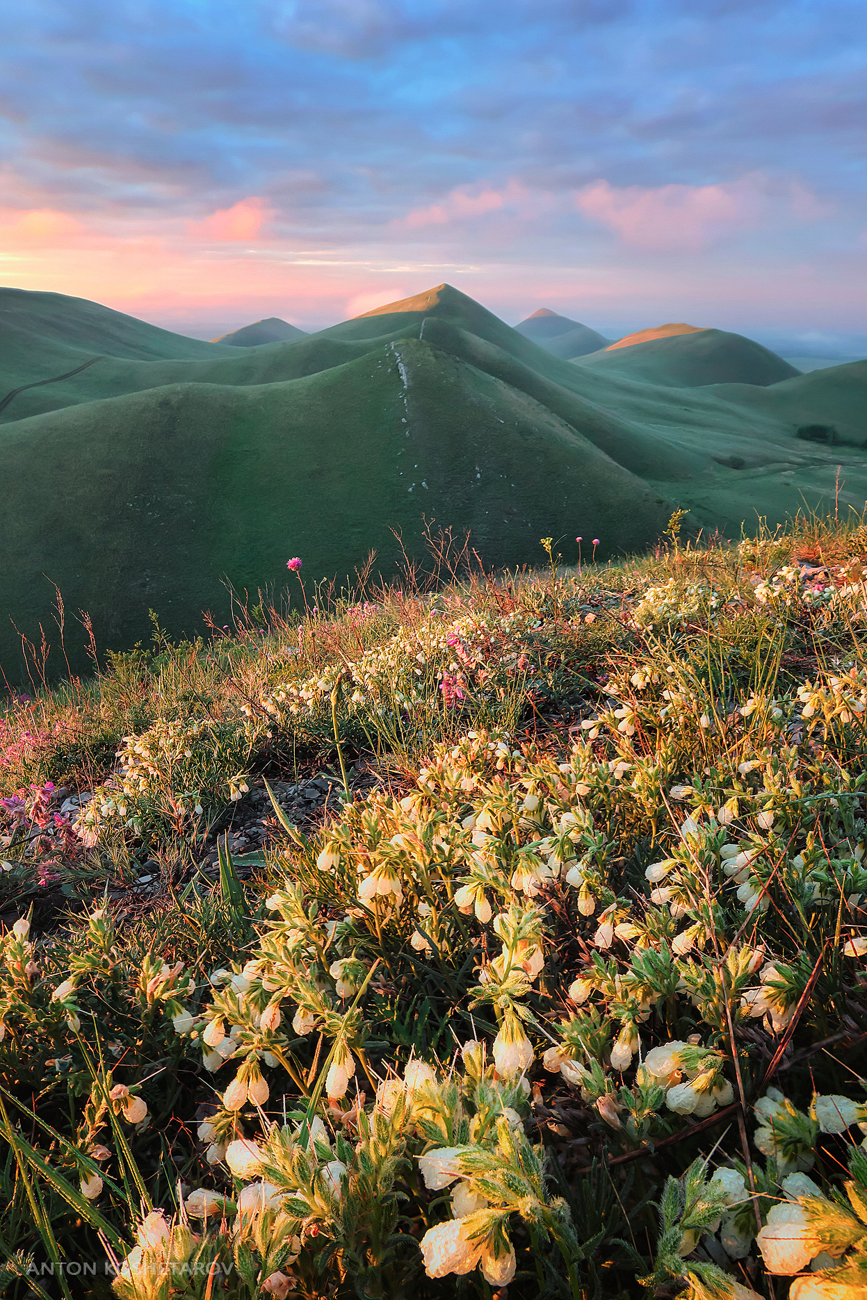 , Антон Кошетаров