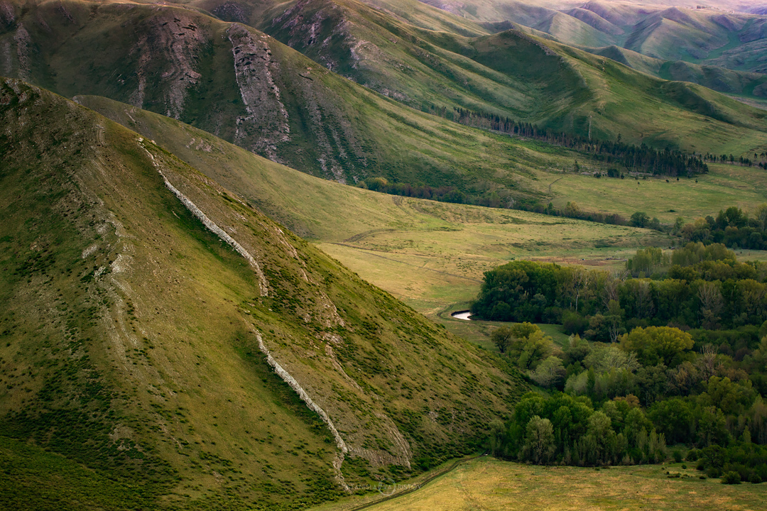 , Станислав Аристов