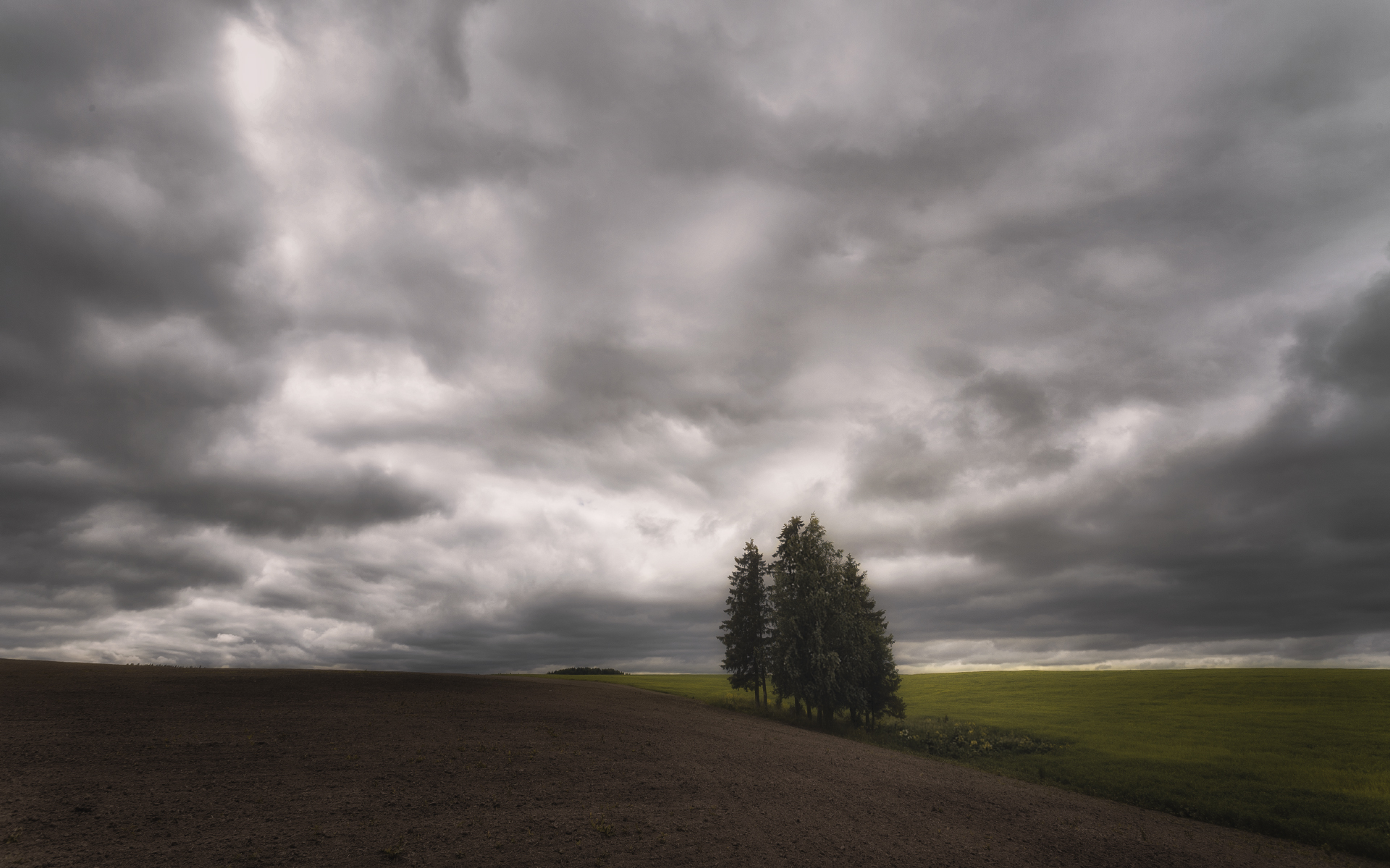 , Олег Дунаев