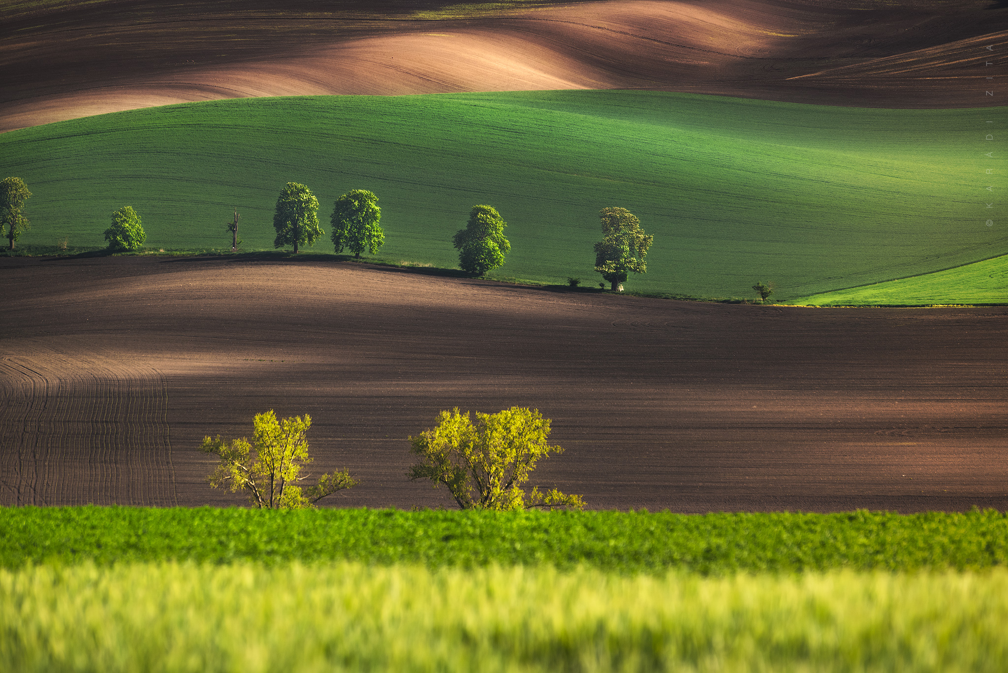 czech, moravia, landscape, green, rollinghills, trees, land, fields, agriculture, europe, lights,, Karádi Zita
