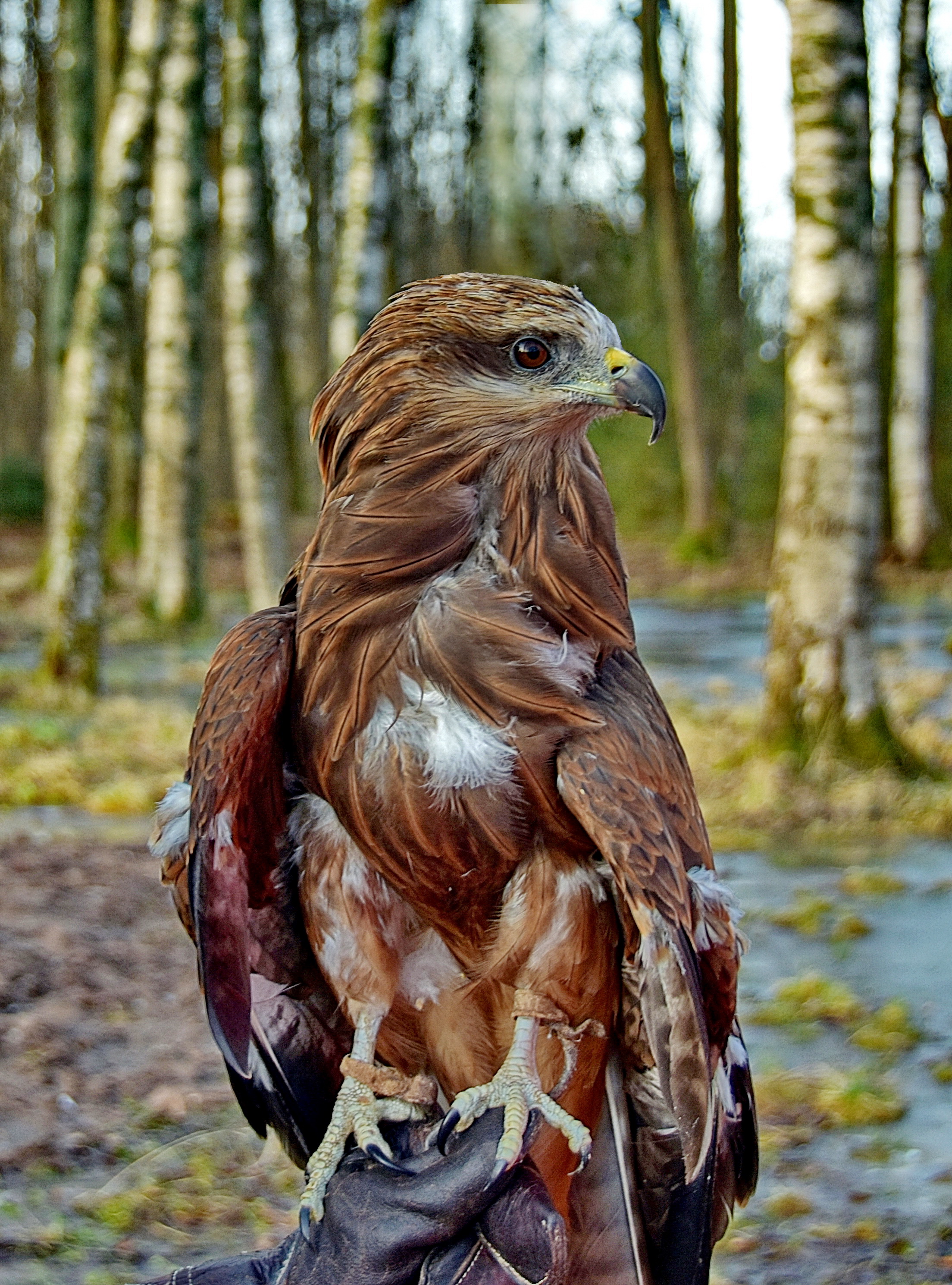 , Лидия Ушакова