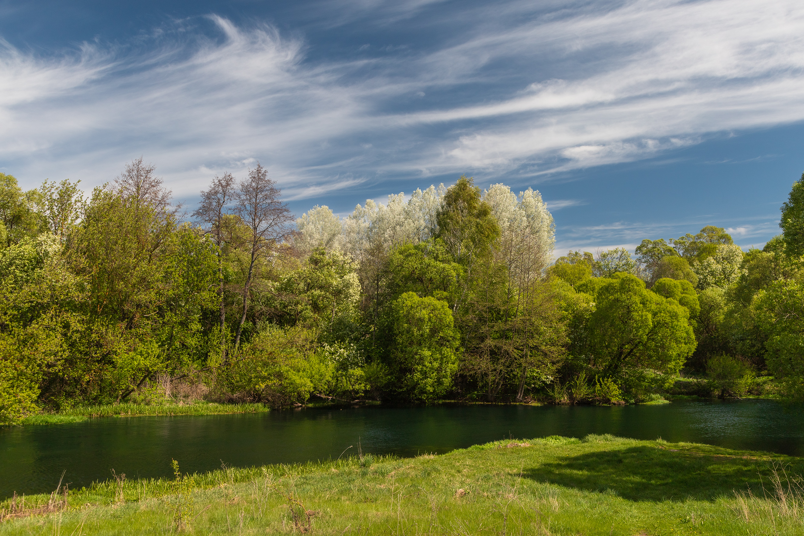 пейзаж, природа, весна, река, nature, wildlife, canon , Пронин Денис