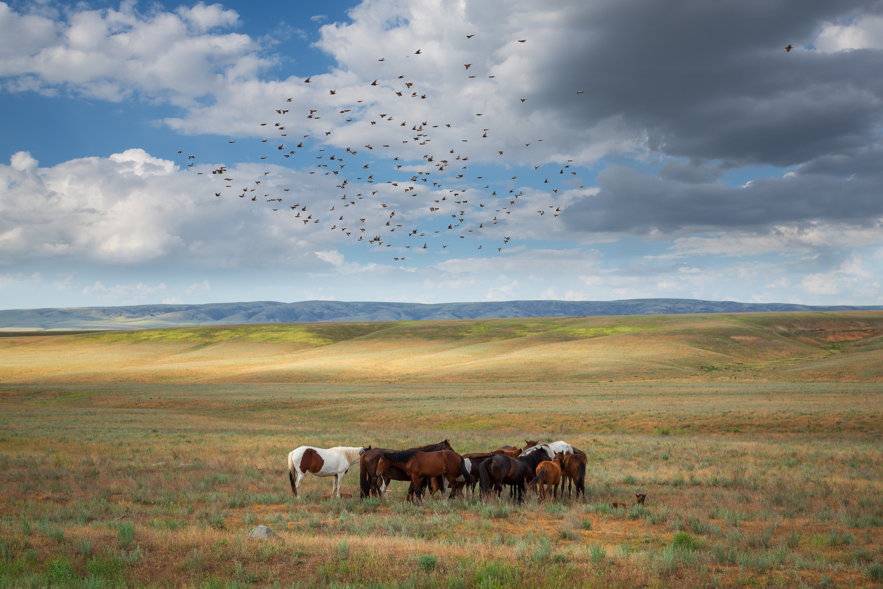 , Рагинская Ольга
