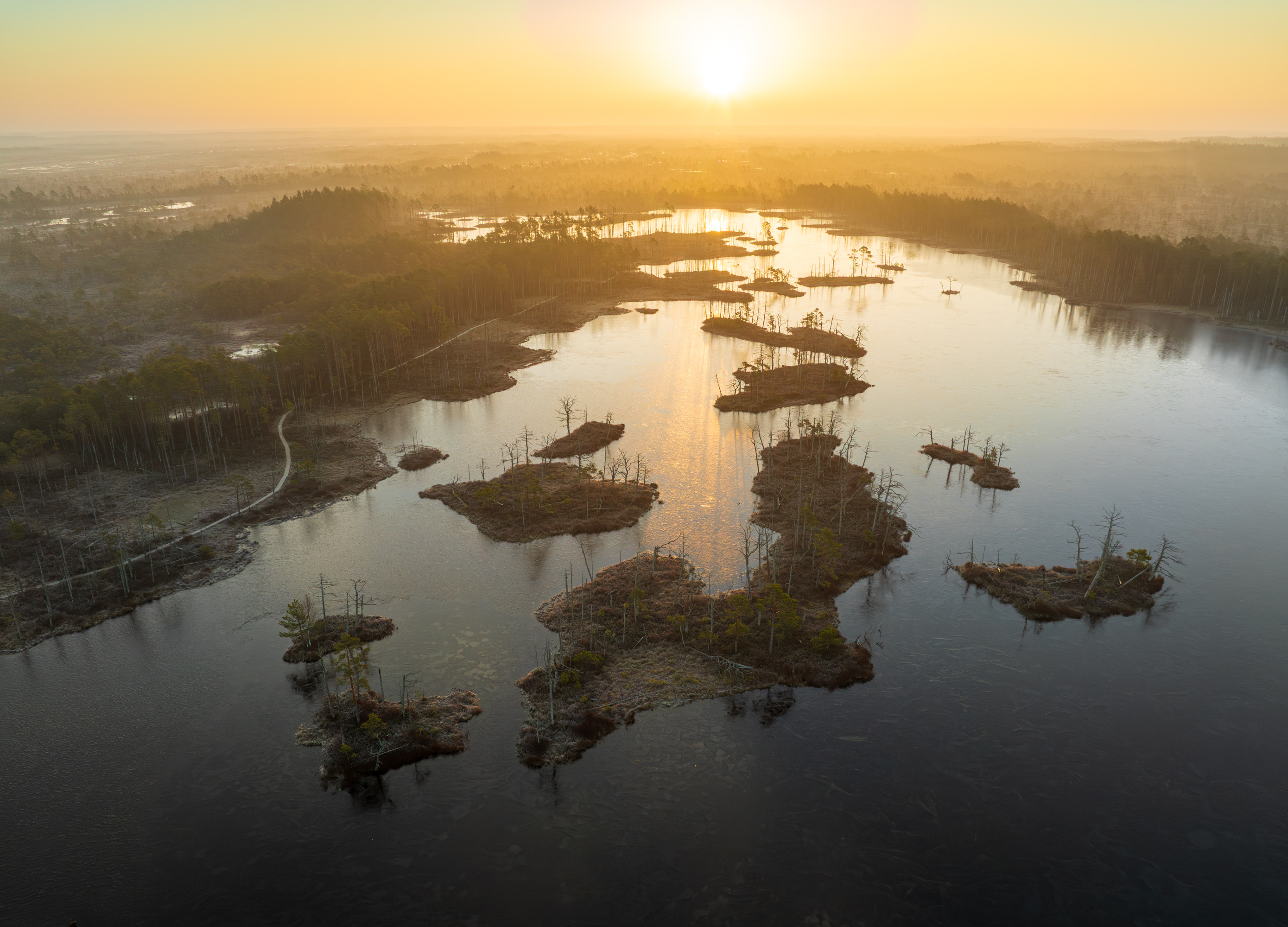 , Гордон Николай