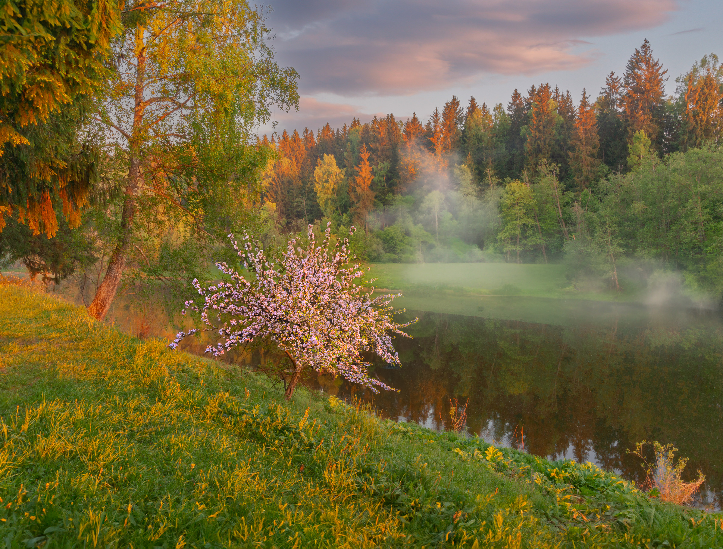 #topnature #russpasibo #magic_shots #lovelyRussia #sunset_vision #exclusive_sky  #exclusive_shots #loves_russia2 #photoarena_nature #nature_sultans #nature_perfection #rsa_sky #rsa_sunset #photorussia #rsa_naturepics #sunsetsRussia #landscape_Russia #love, Владимир Рябков