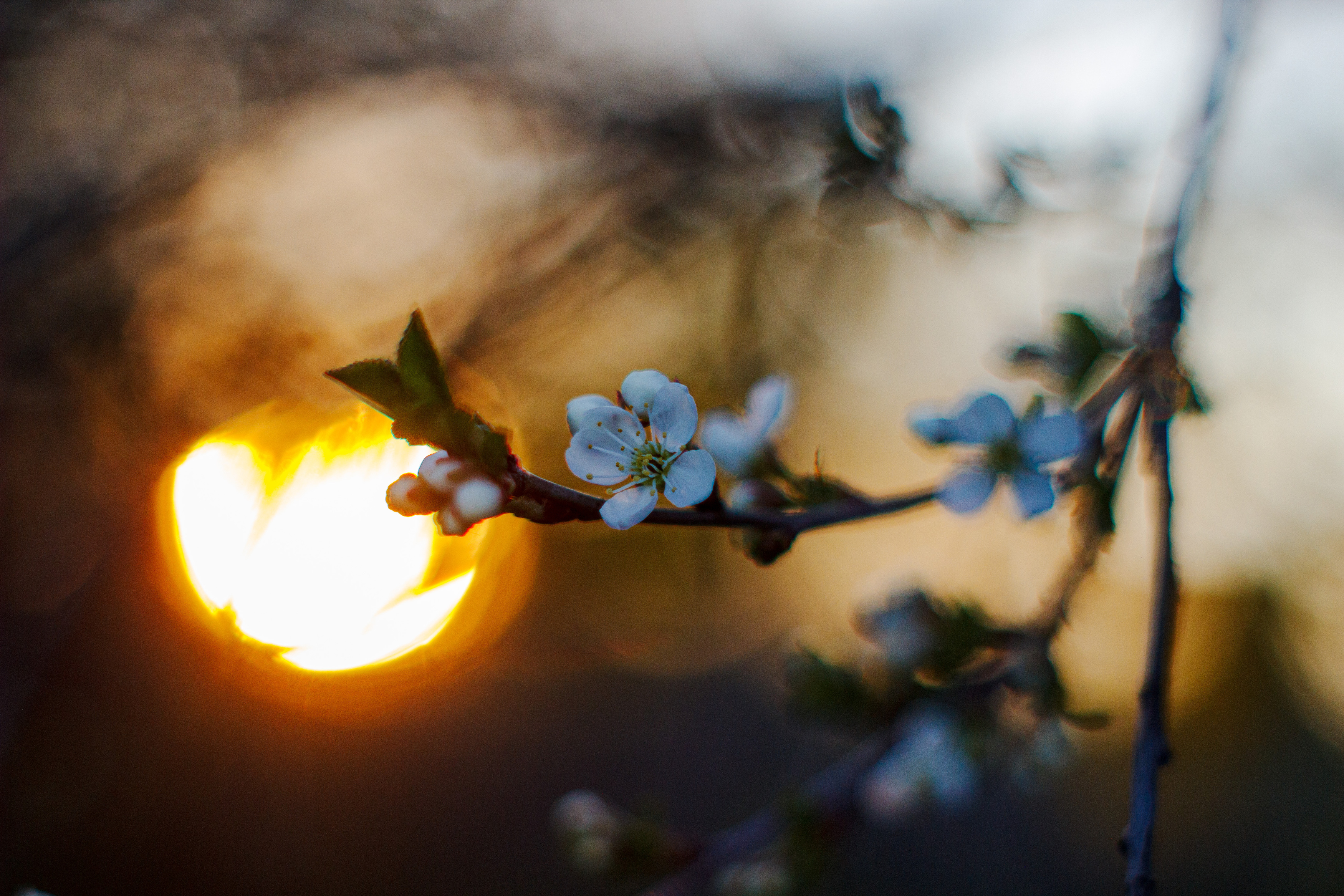 , Лофицкая Лариса