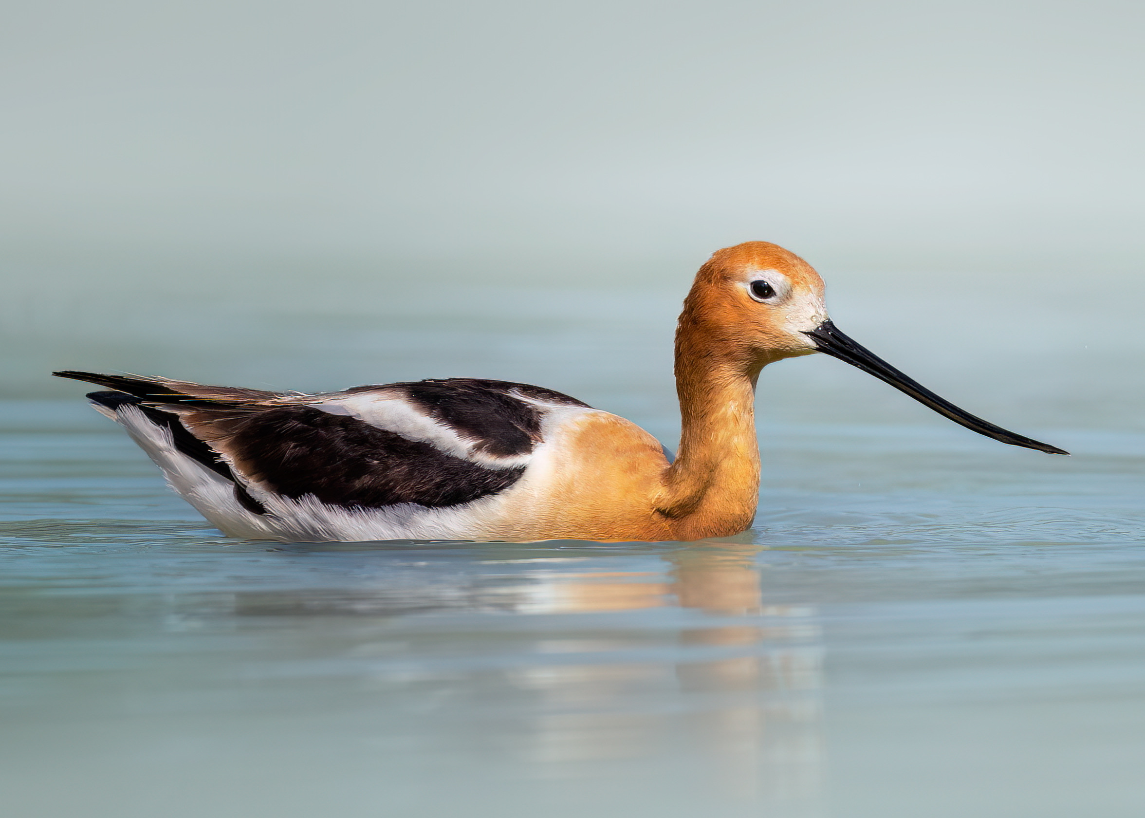 , Maikel Valle Clara