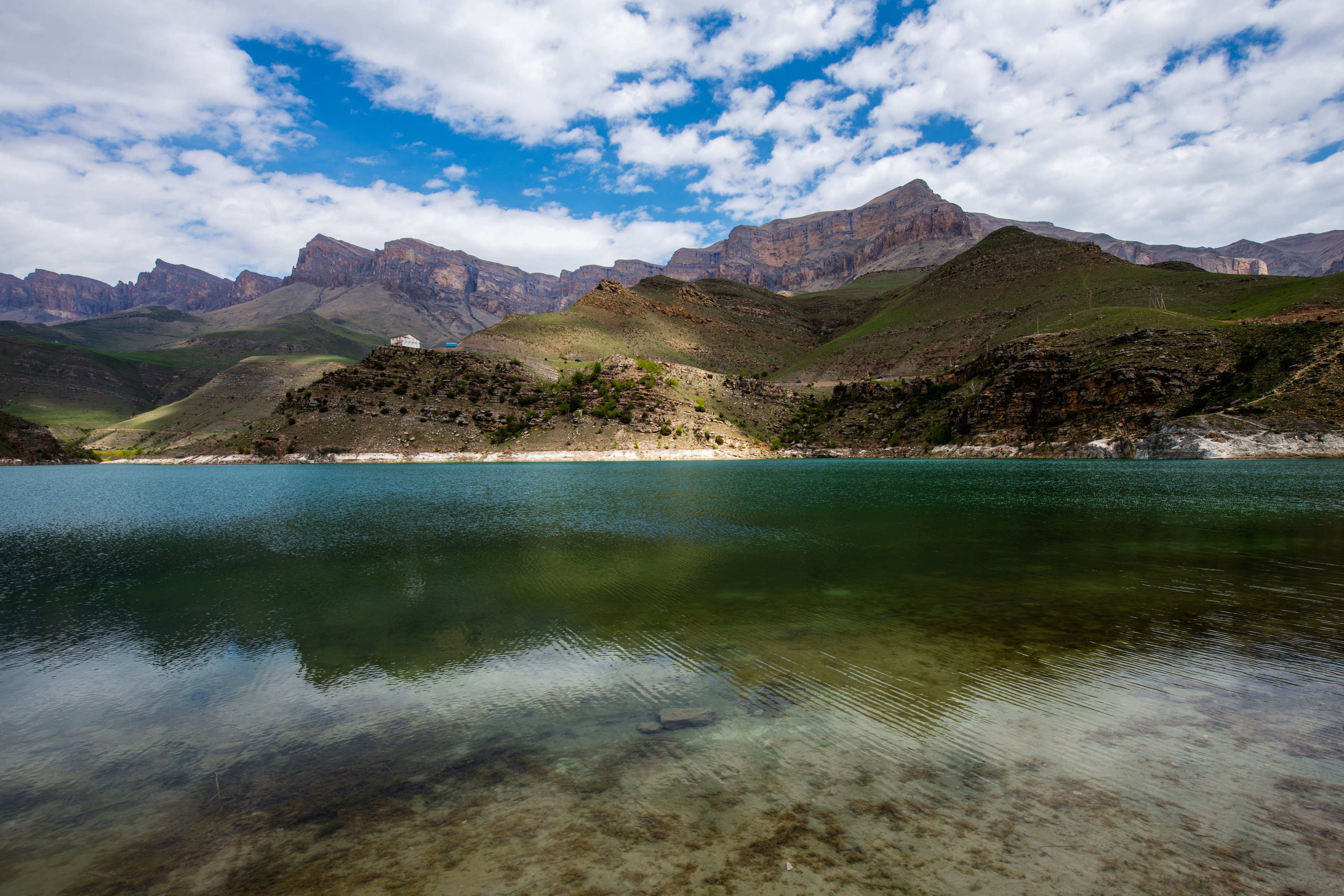 , Гуринович Дмитрий