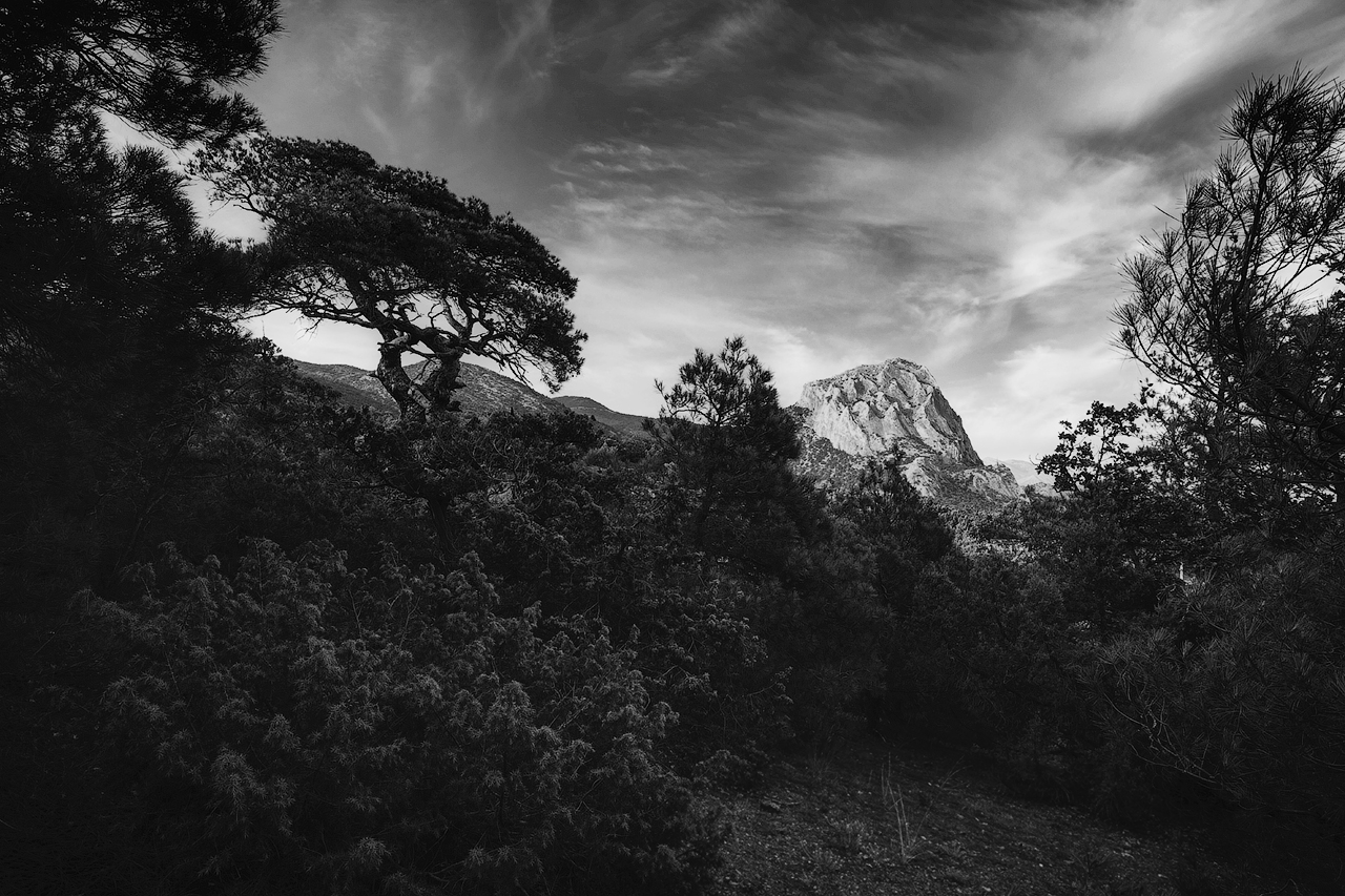 , Аседач Александр