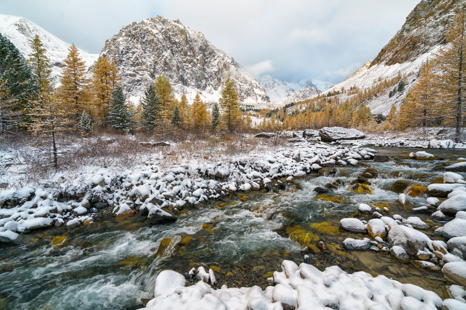 , Лариса Дука