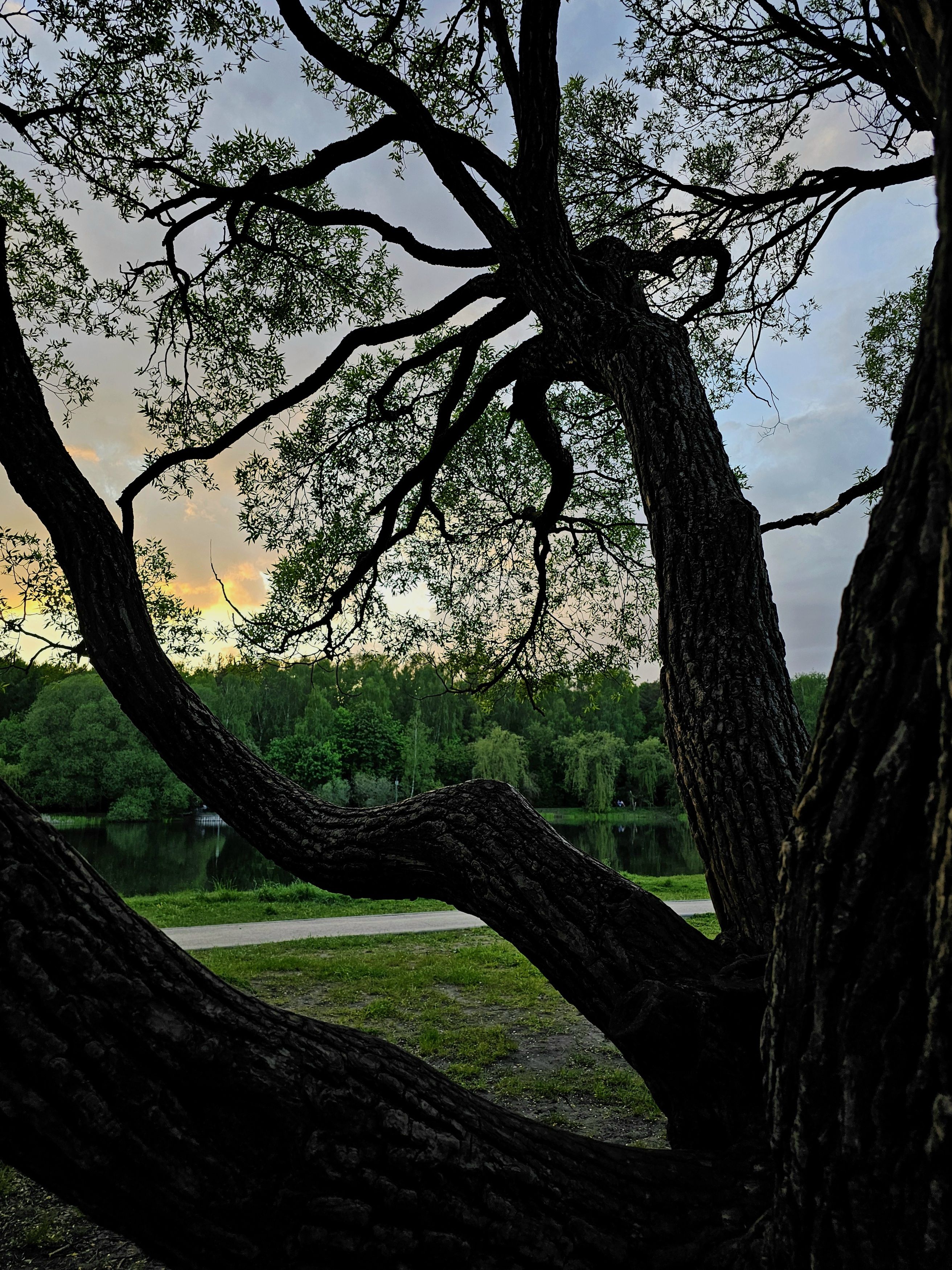 , Мария Яковлева