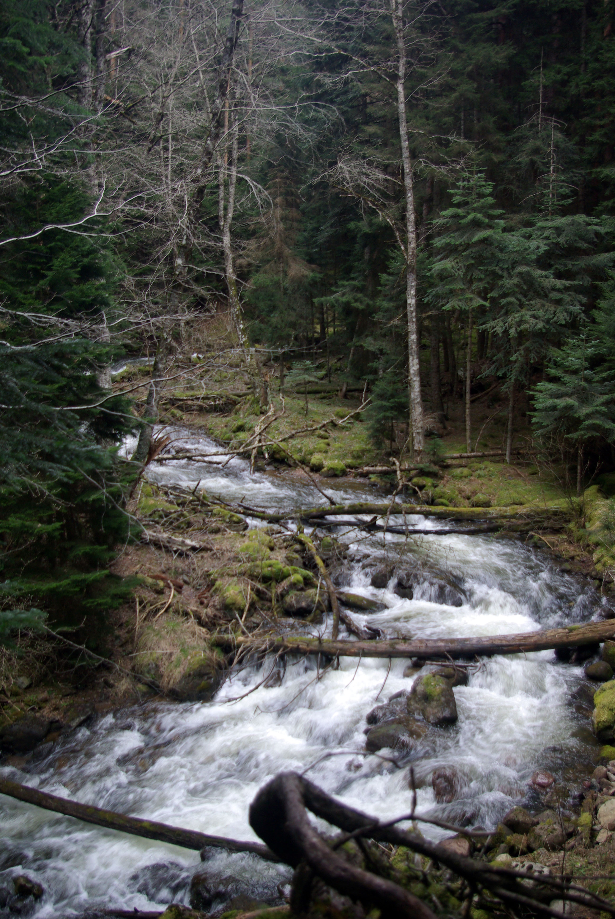 архыз, Андрей Любимов