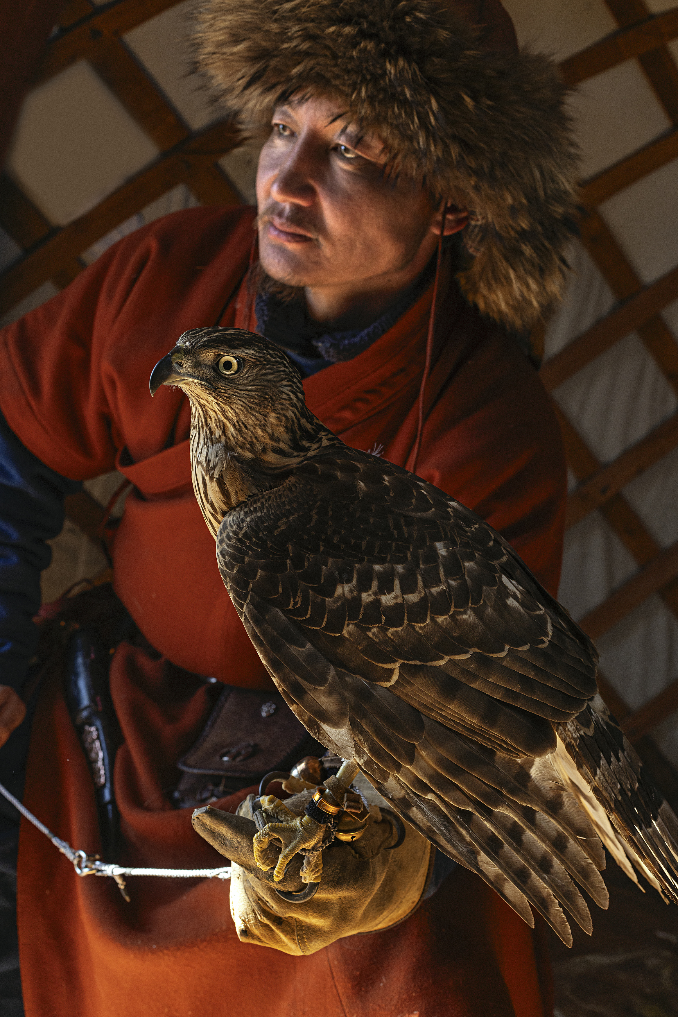 Mongolian eagle hunting festival, ganzorig miimaa