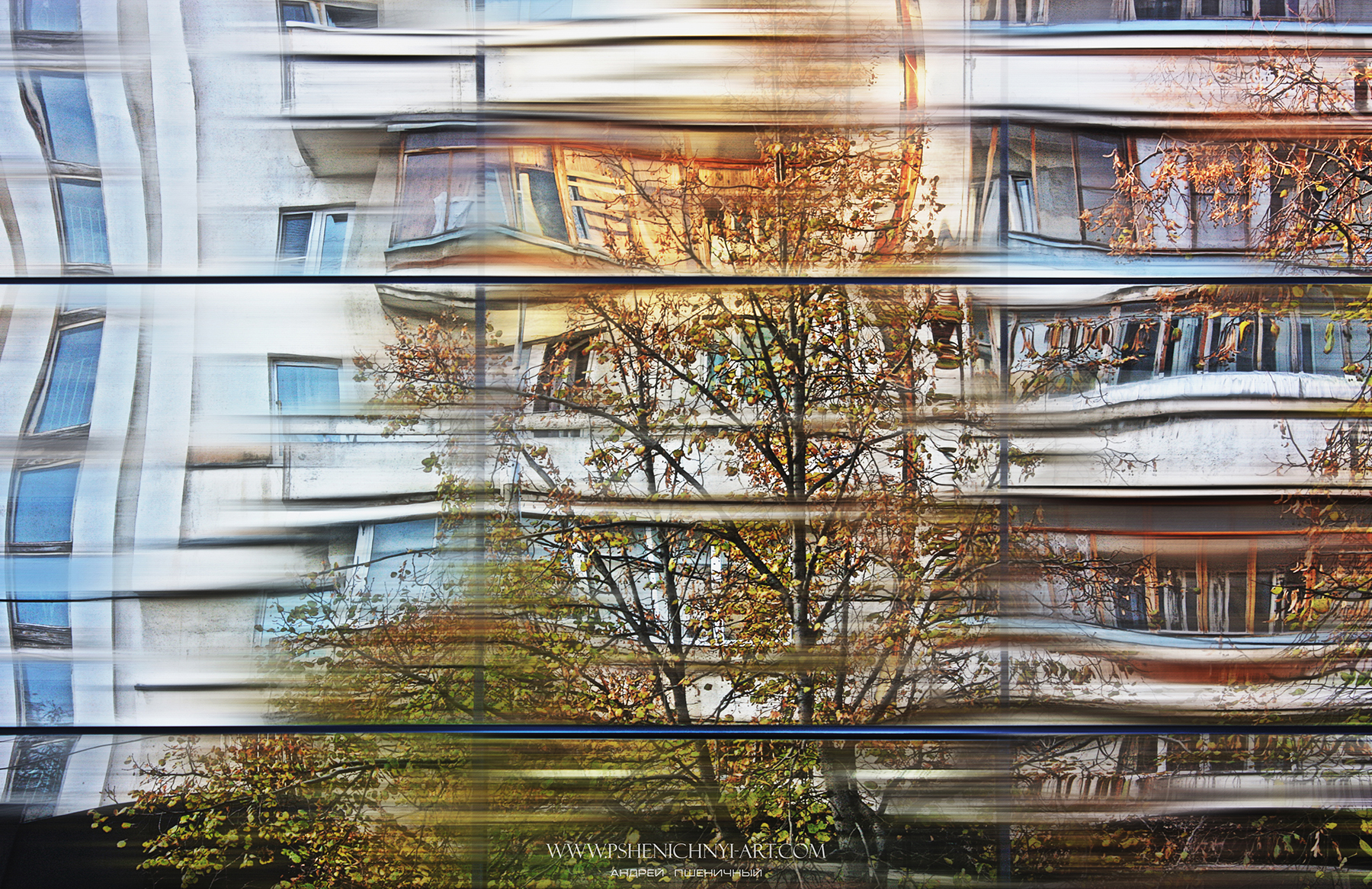 отражение, эффект линзы, город, городской пейзаж, фасад, ритм, абстракция, минимализм, крона дерева, осень, Пшеничный Андрей