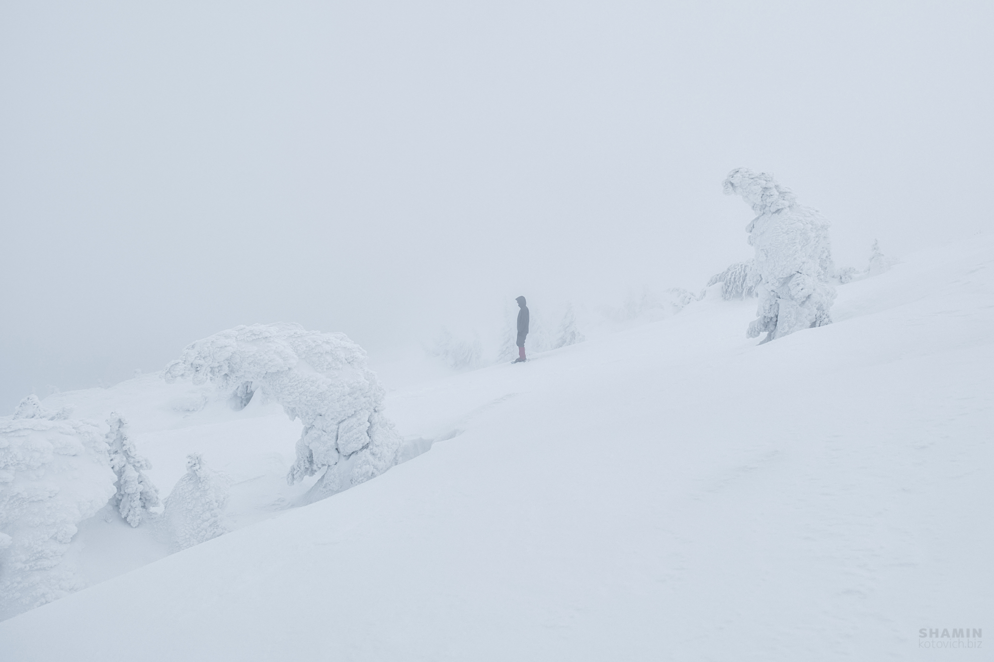 , Константин Шамин