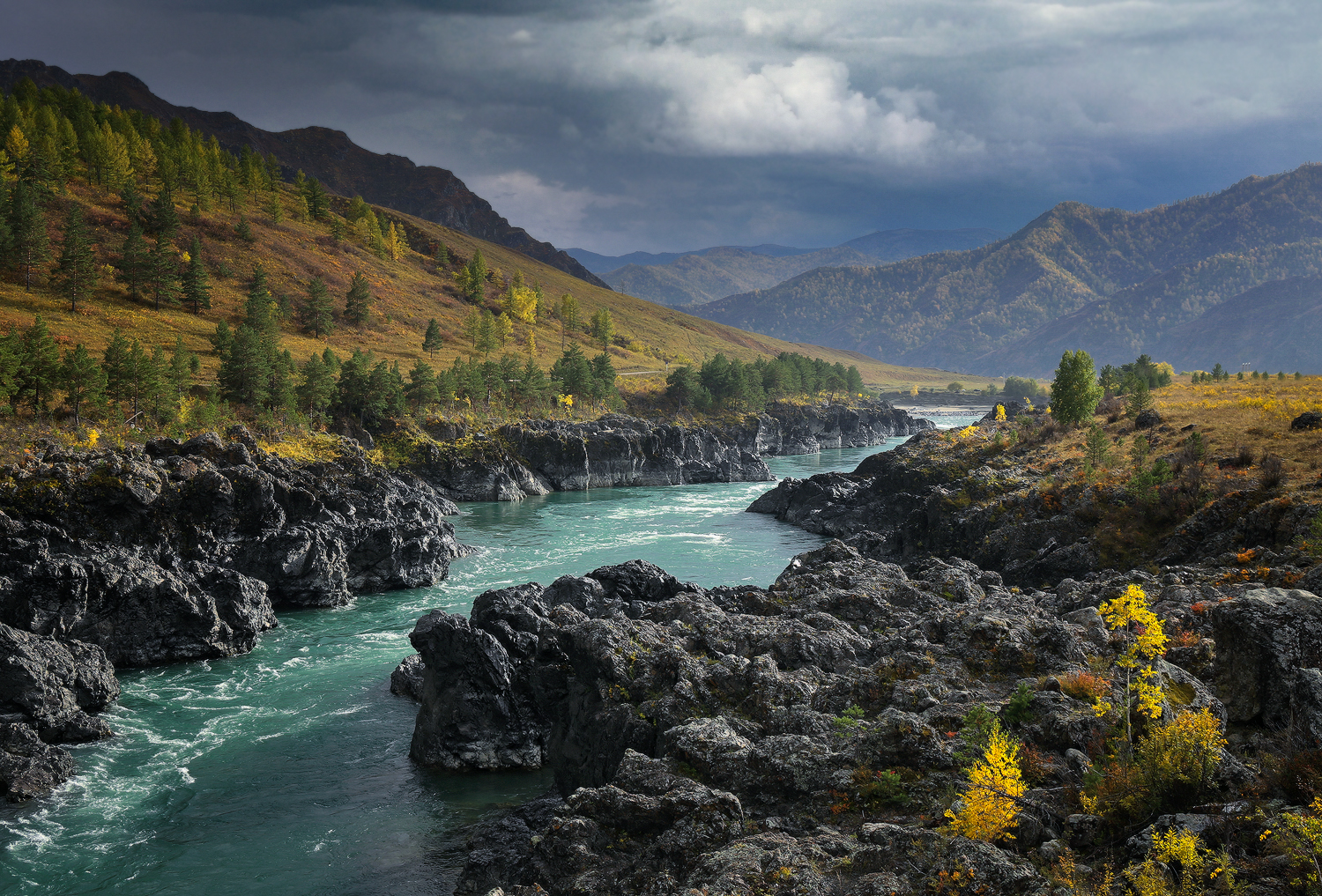 алтай, катунь, горный алтай, республика алтай, Галина Хвостенко