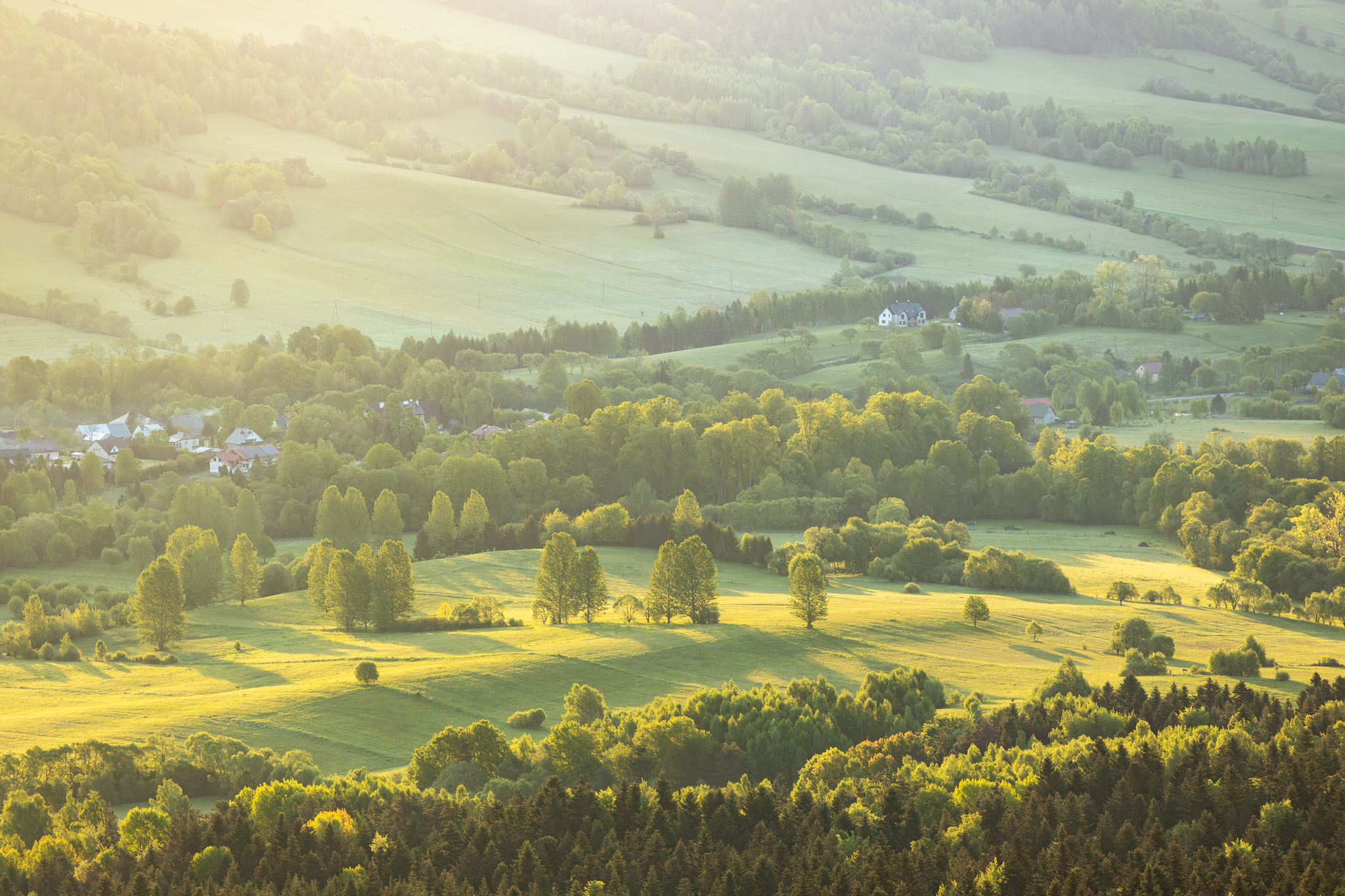 ,  Mirosław Pruchnicki