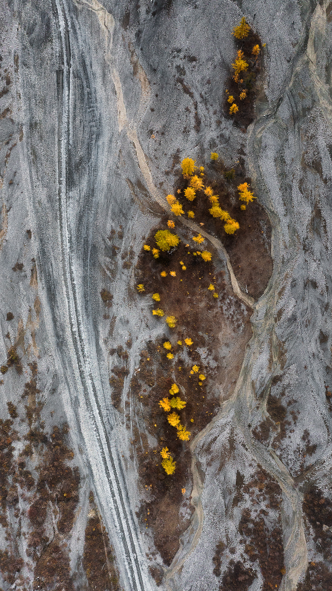 , Константин Маланин