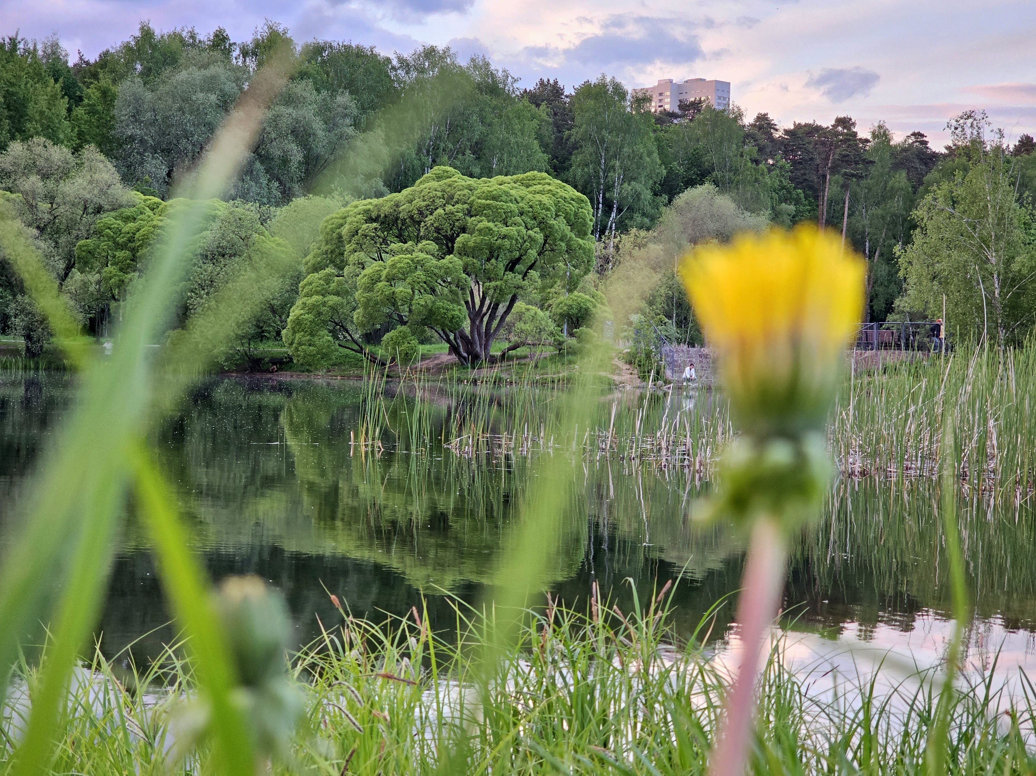 , Мария Яковлева