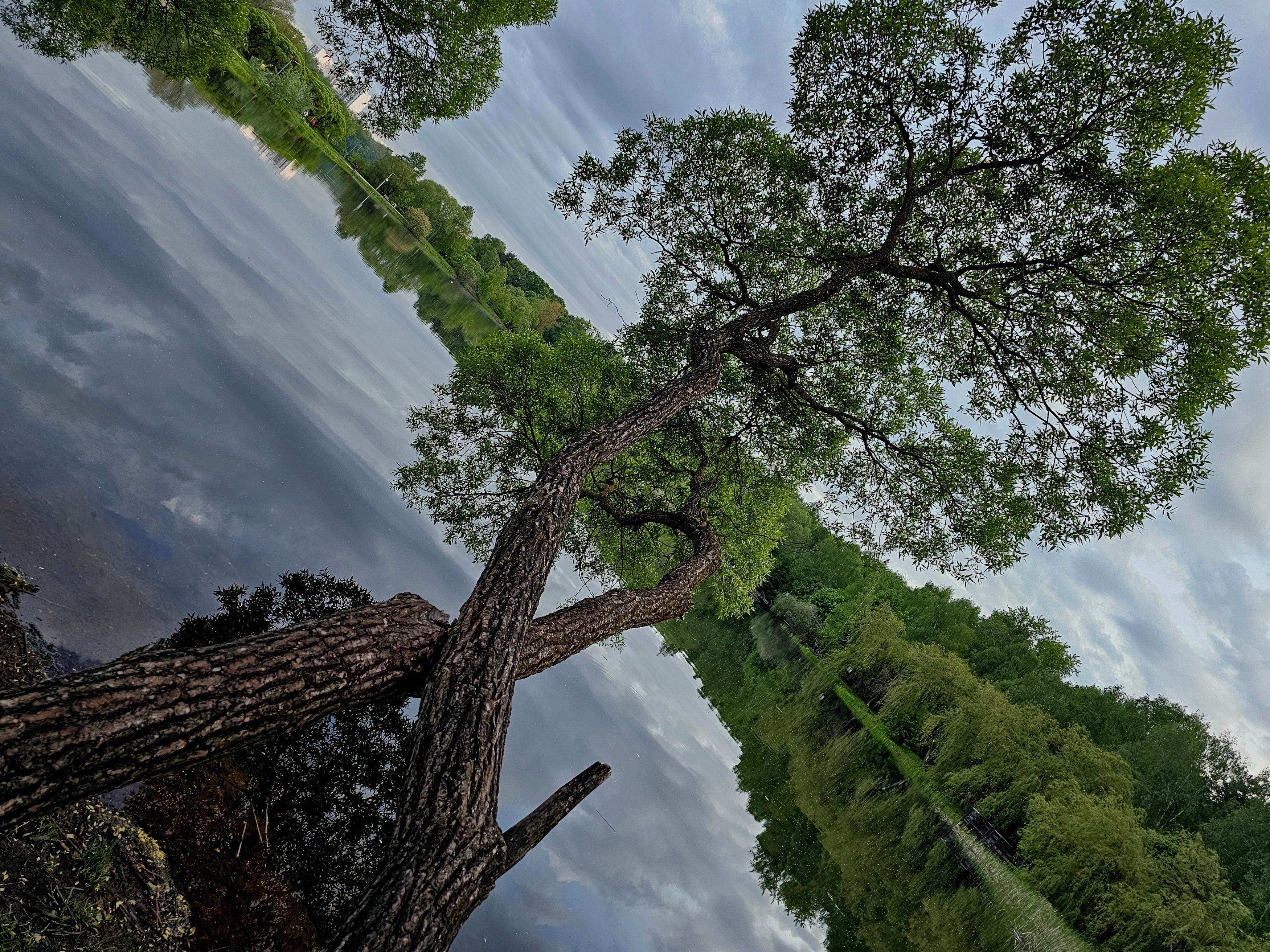 , Мария Яковлева