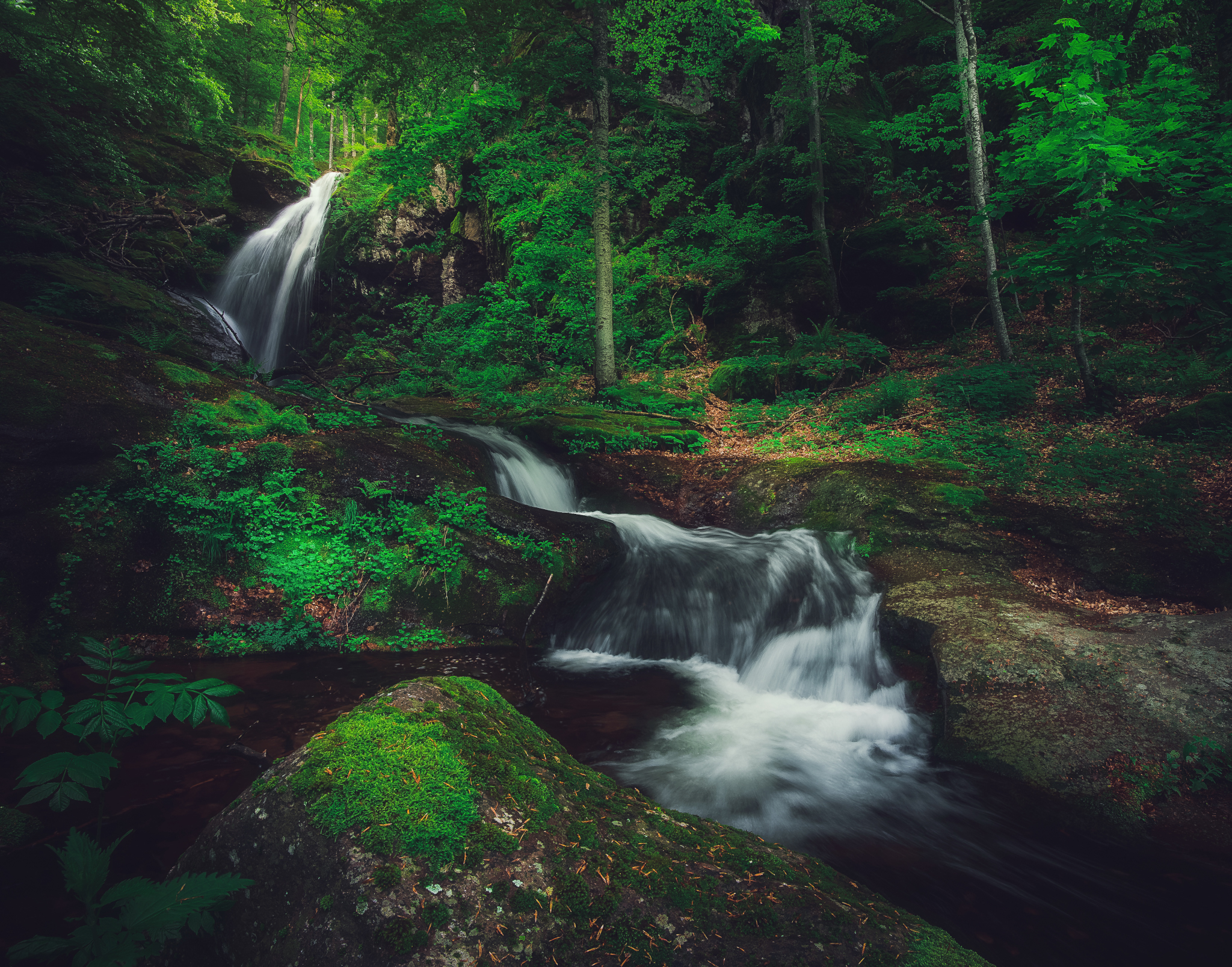 , Mariyana Atanasova - Lucero