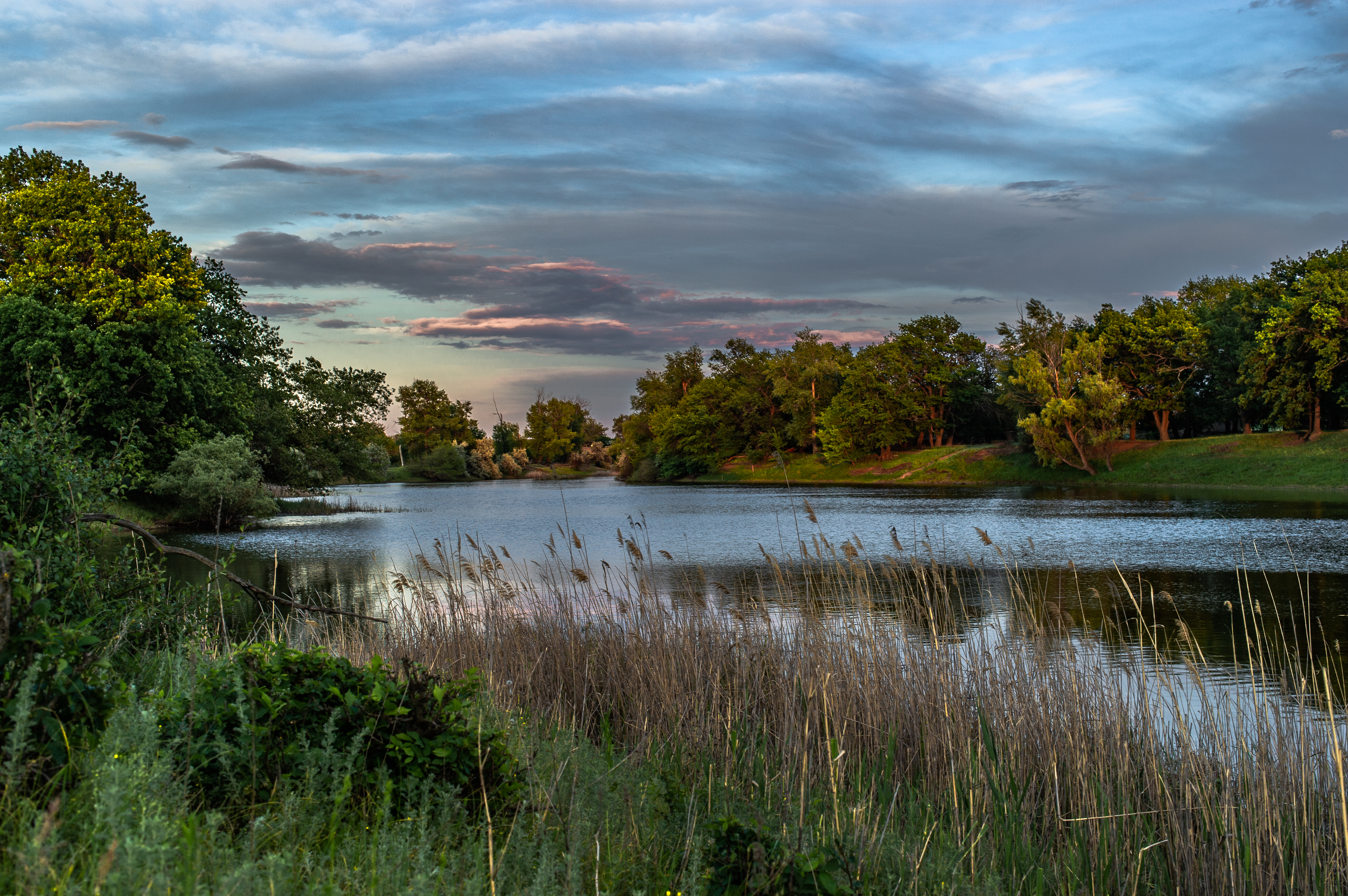 весна,пейзаж,природа, Vasilev Roman