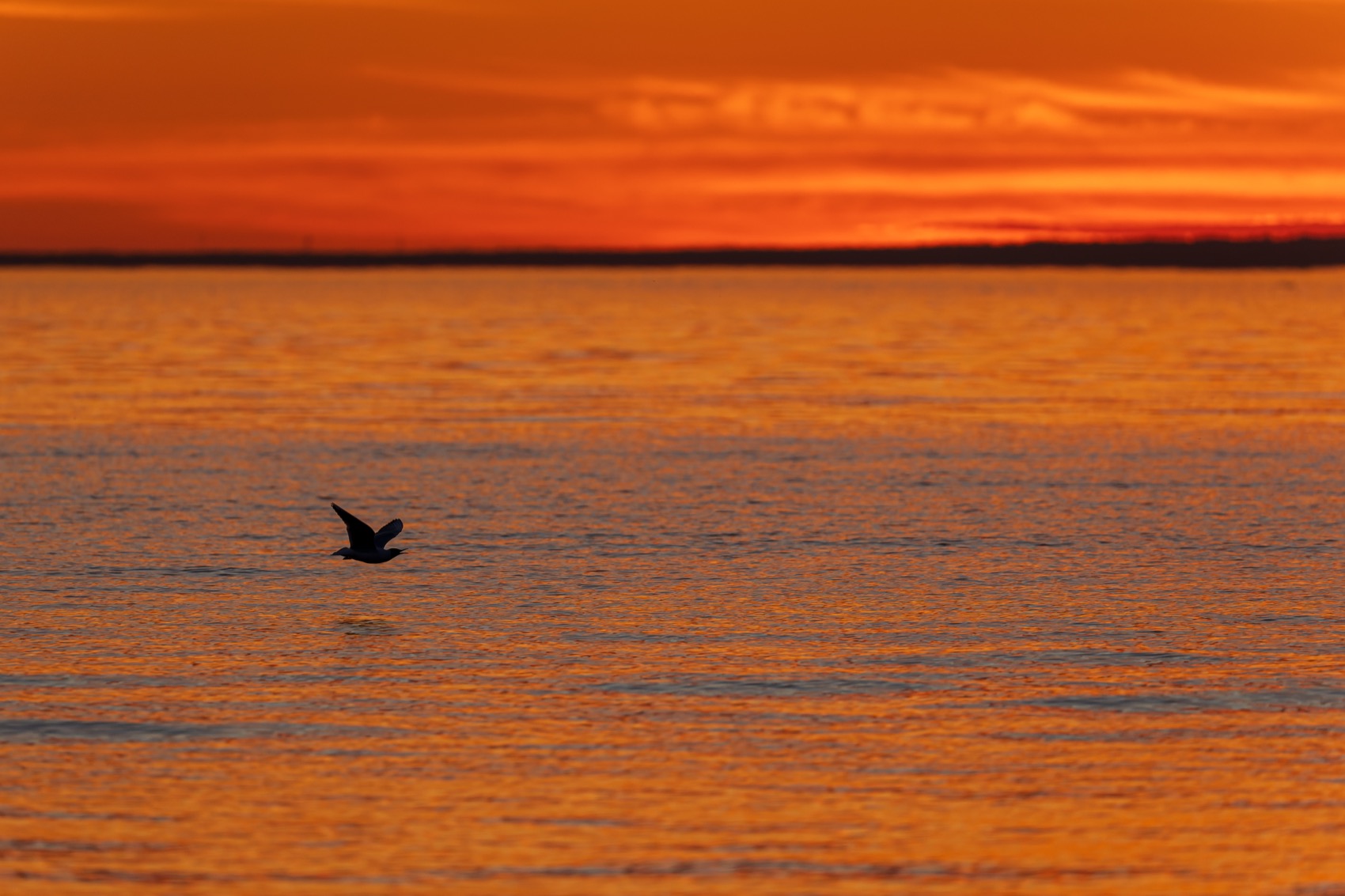 финский залив, закат, Руслан Pl