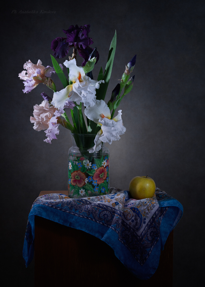 , Анжелика Королева