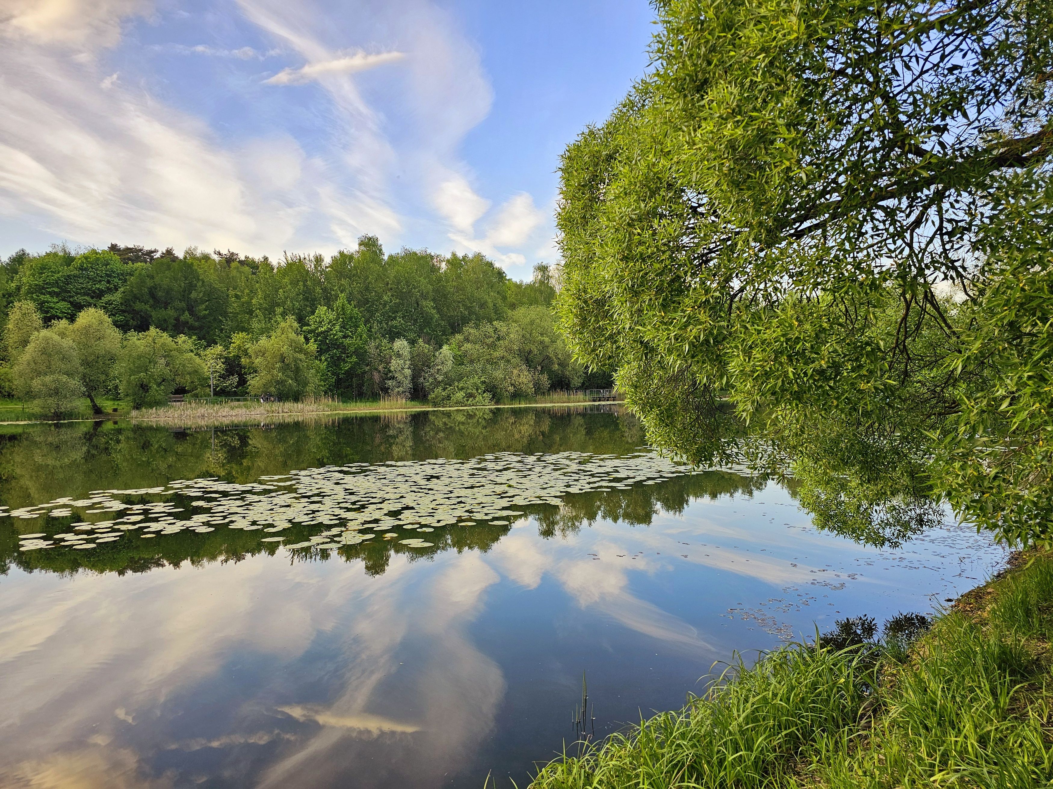 , Мария Яковлева