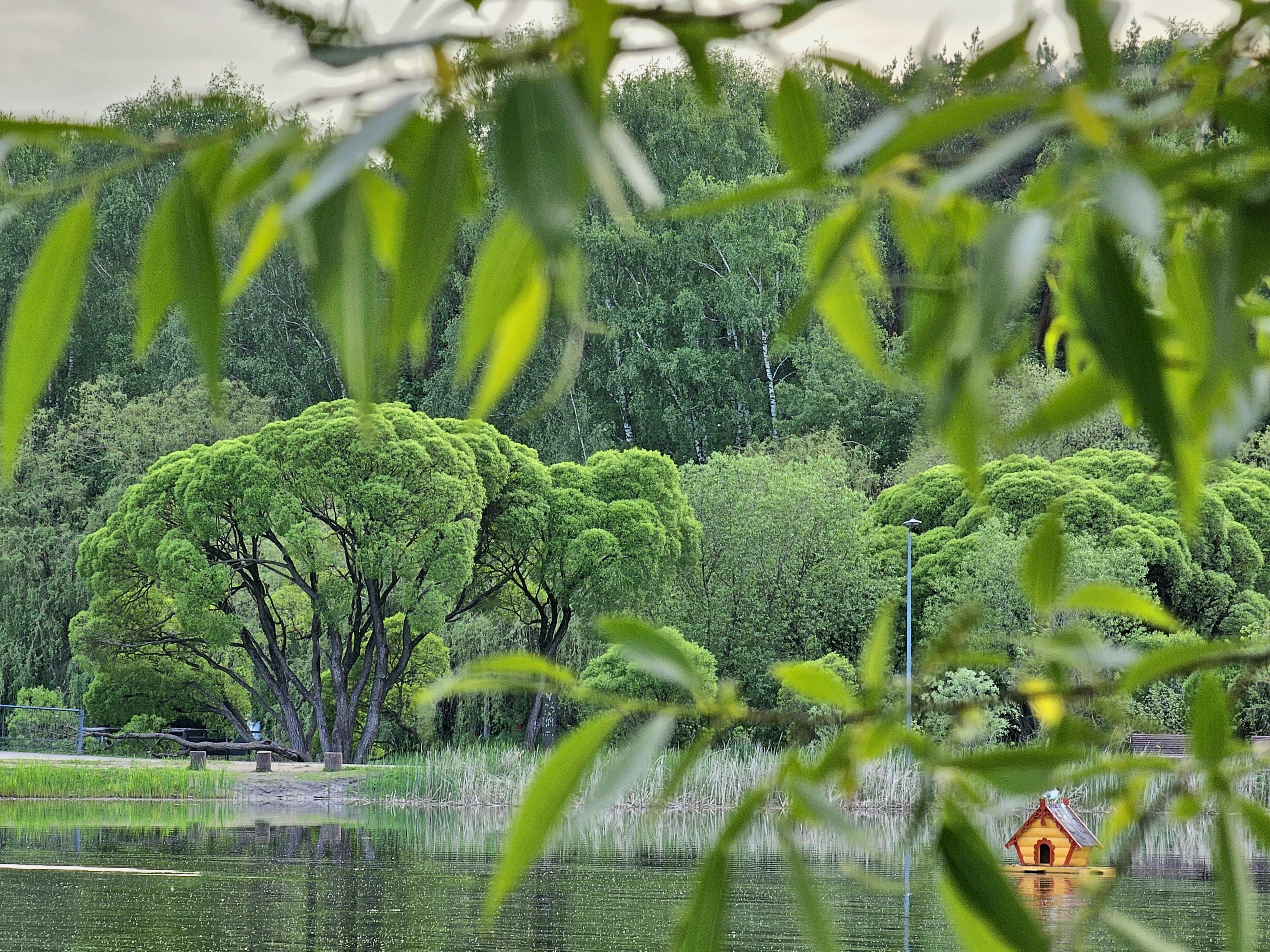 , Мария Яковлева